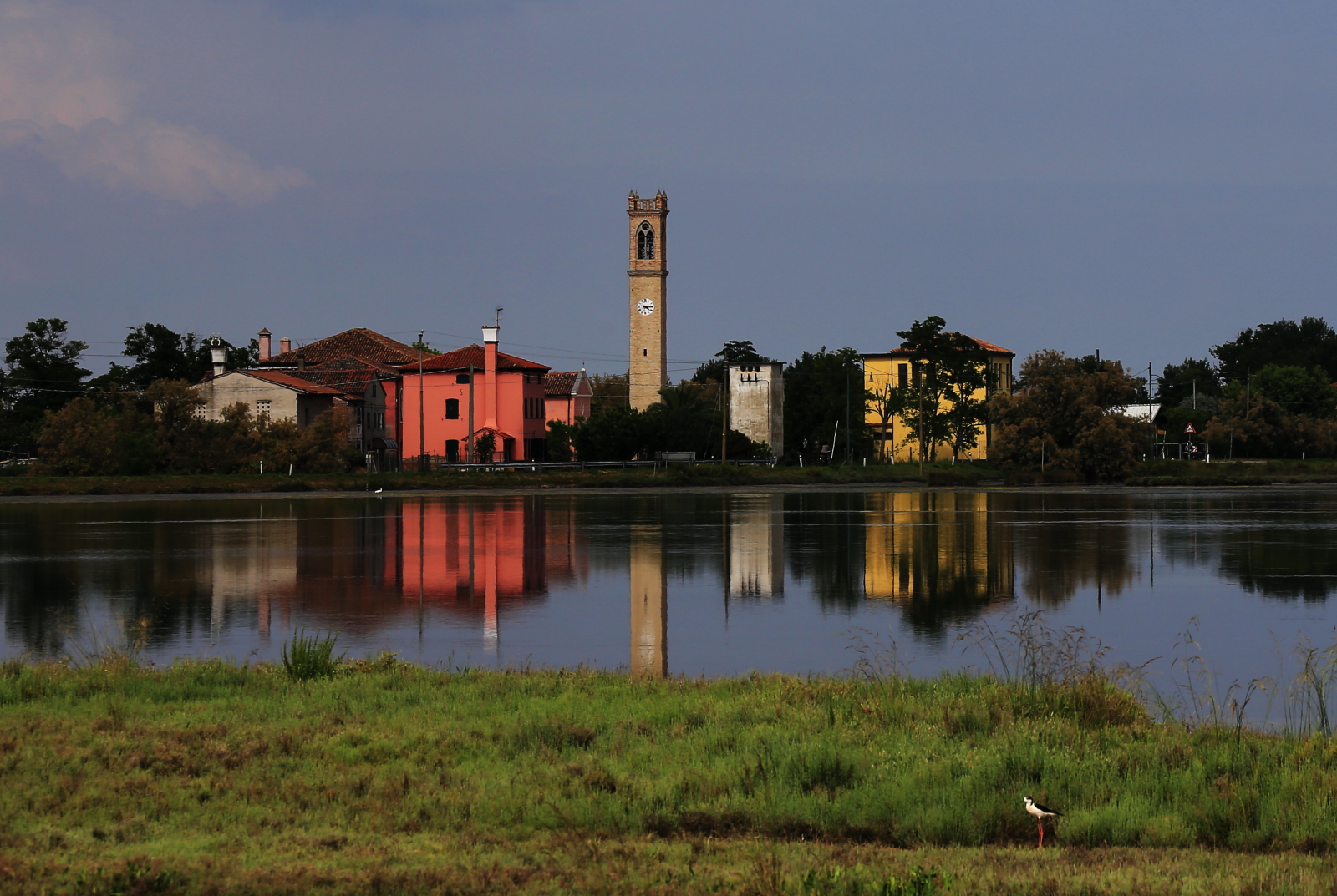 Lio Piccolo a colori