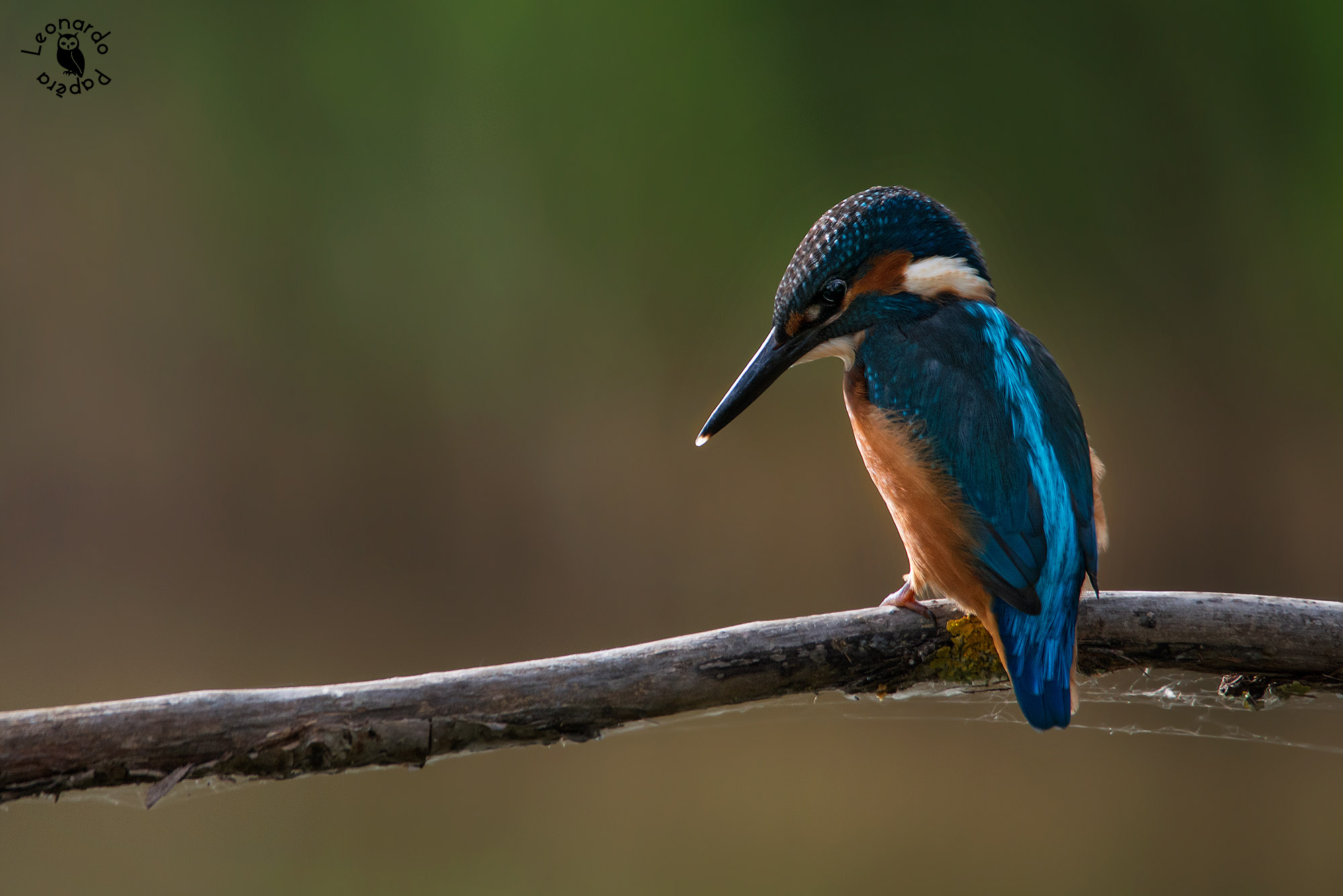 Waitin' for a Strike