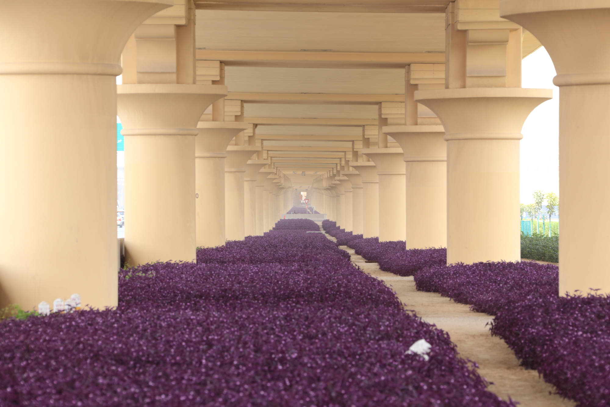 Tipical Dubai's bridge