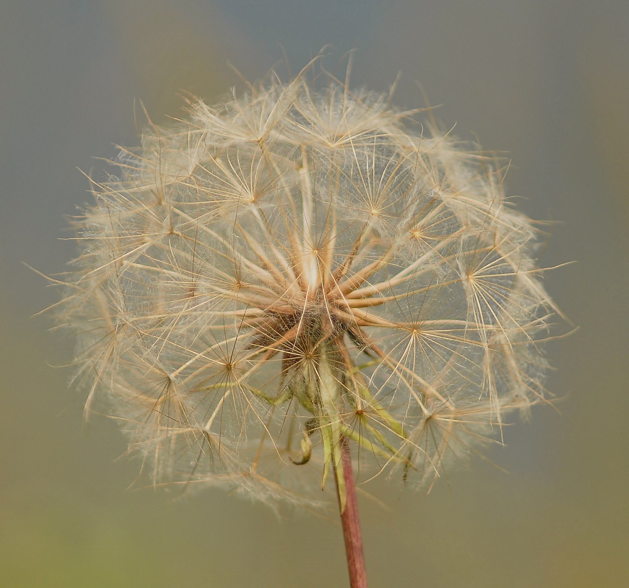 Aspettando un soffio di vento