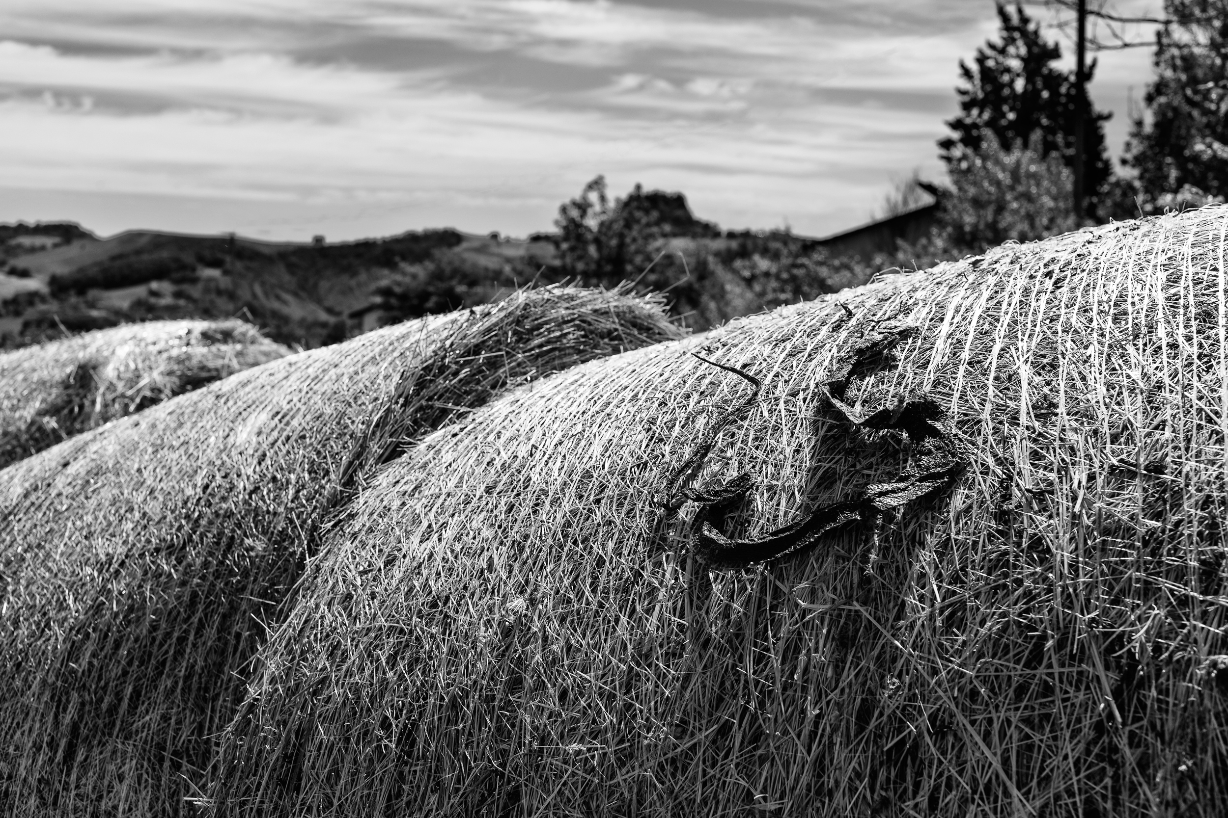 Memory of the passage creeping