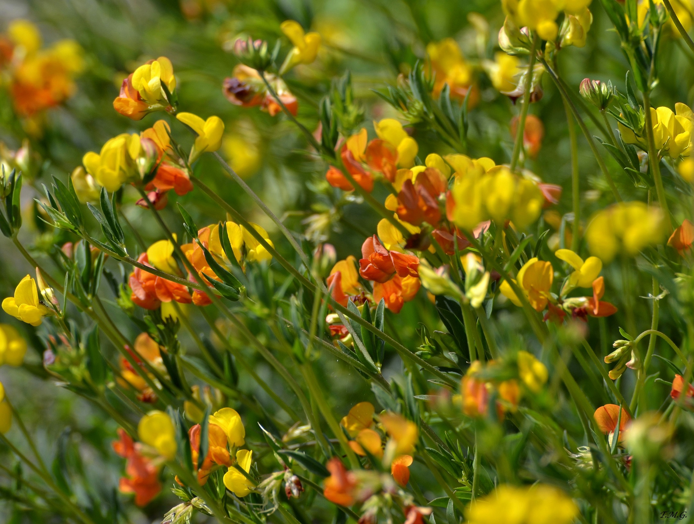 The palette of nature ... a feast for the eyes!