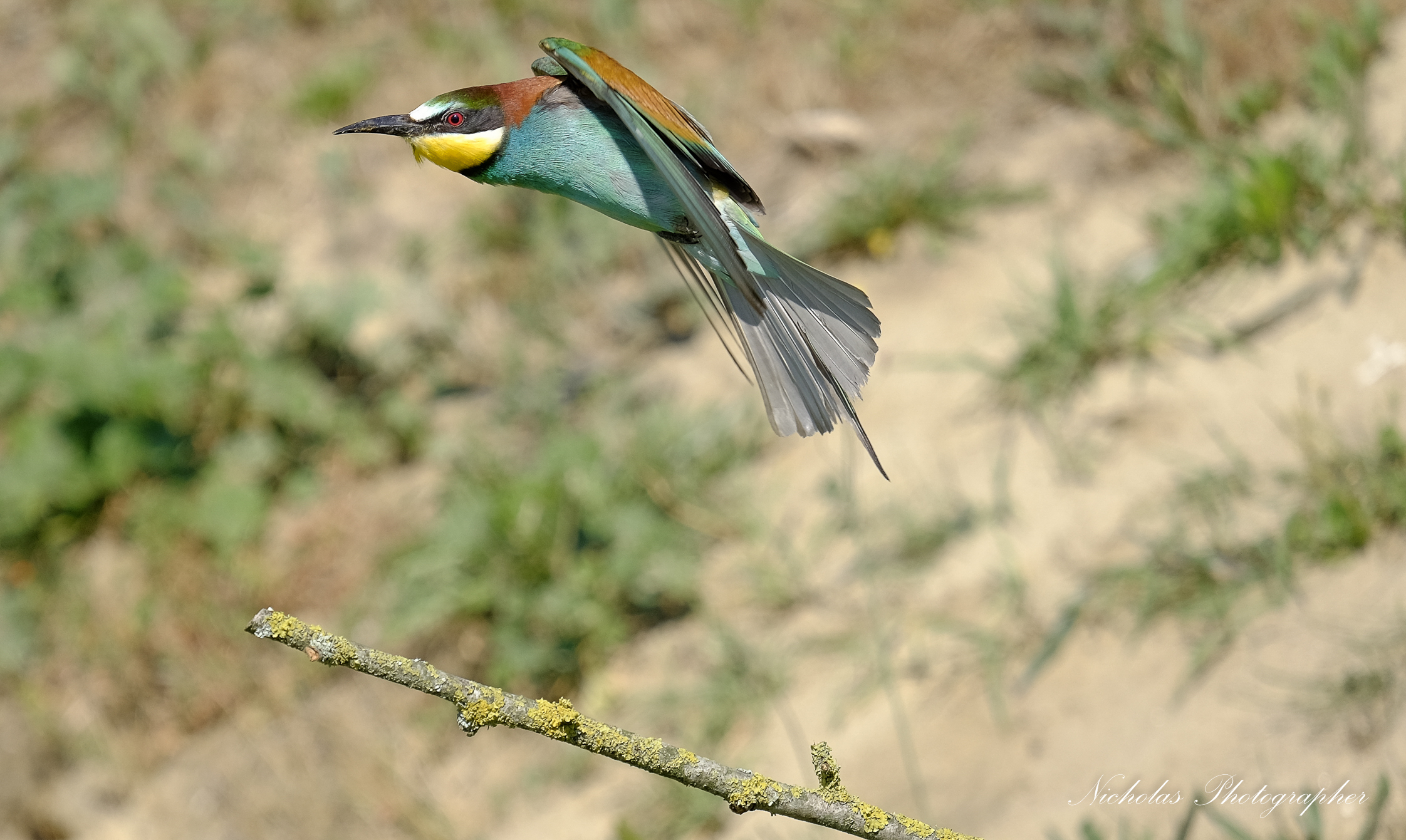 Si trasforma in un razzo missile con circuiti di.....