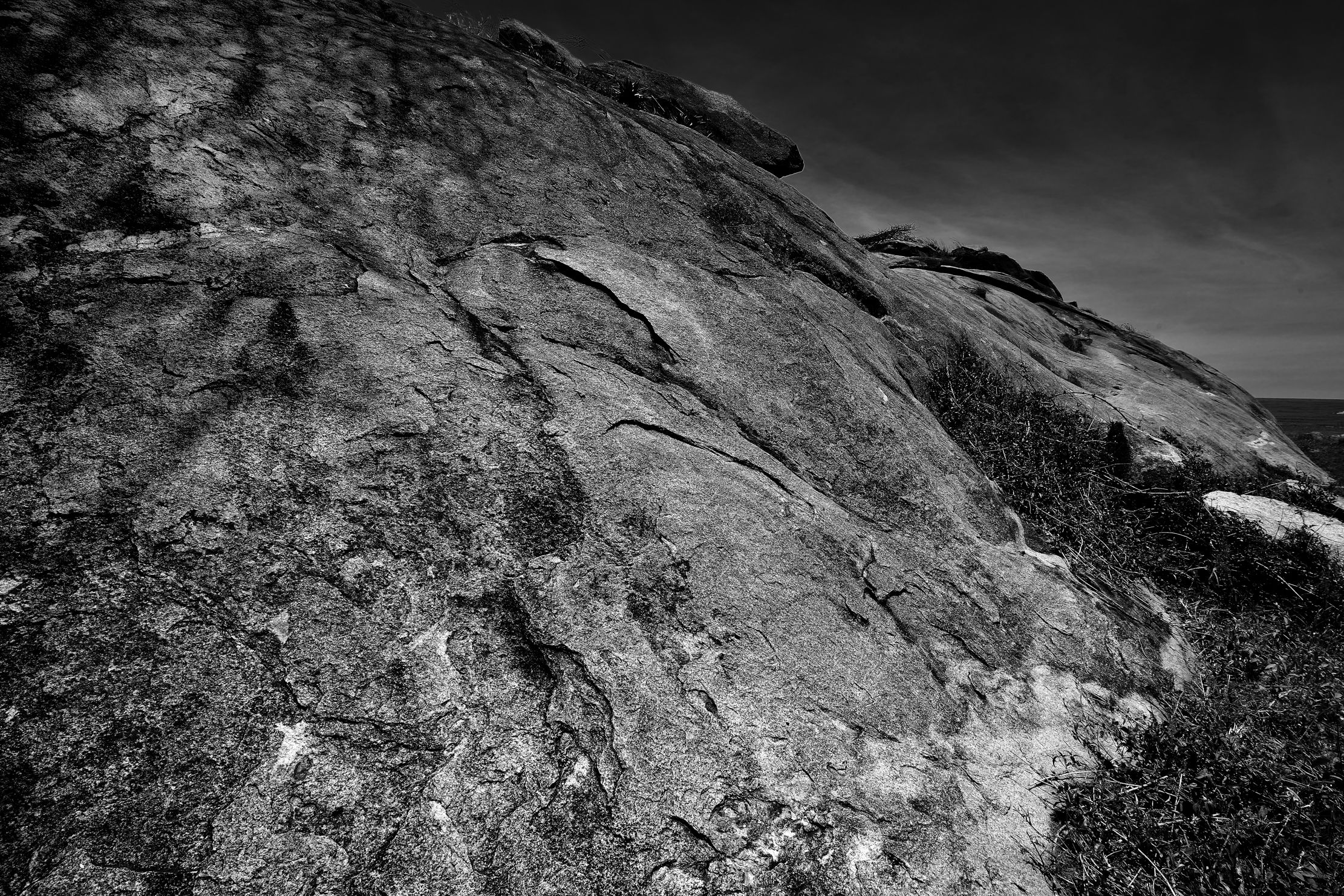 Serengeti - Kopje bn