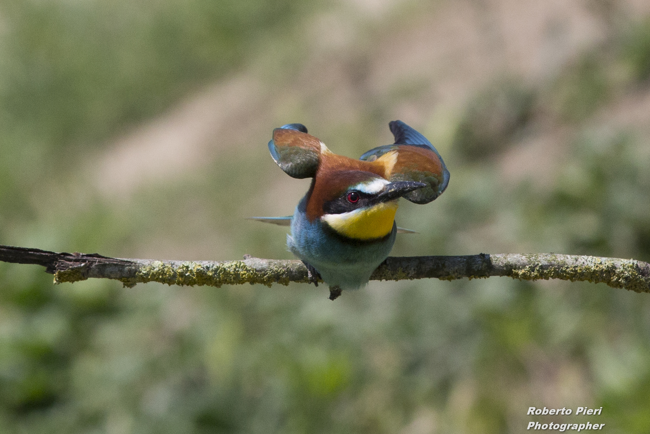 Start the starting front