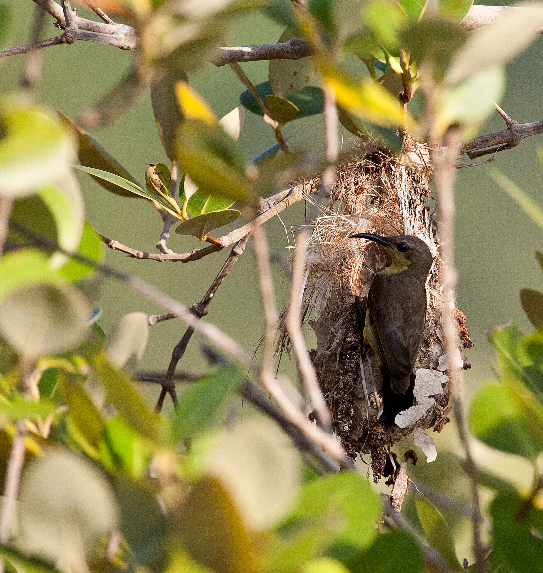 Tempo di alimentazione (di nuovo) 1