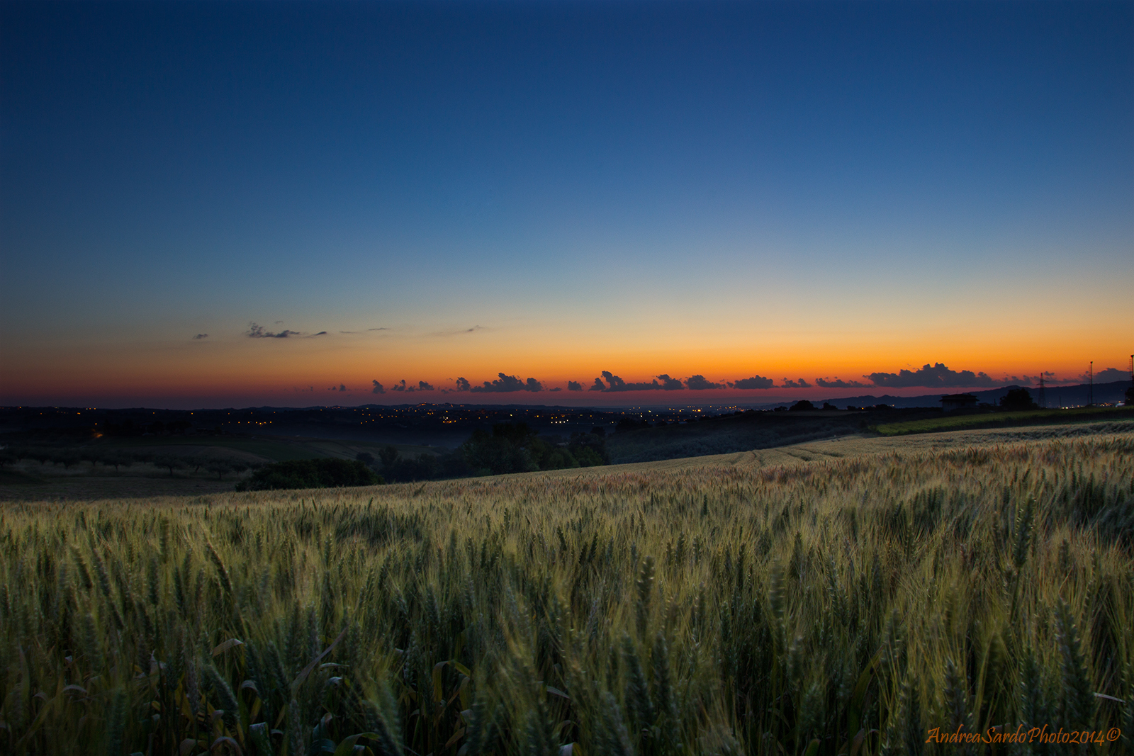 Waiting for the sunrise - Villa Oliveti