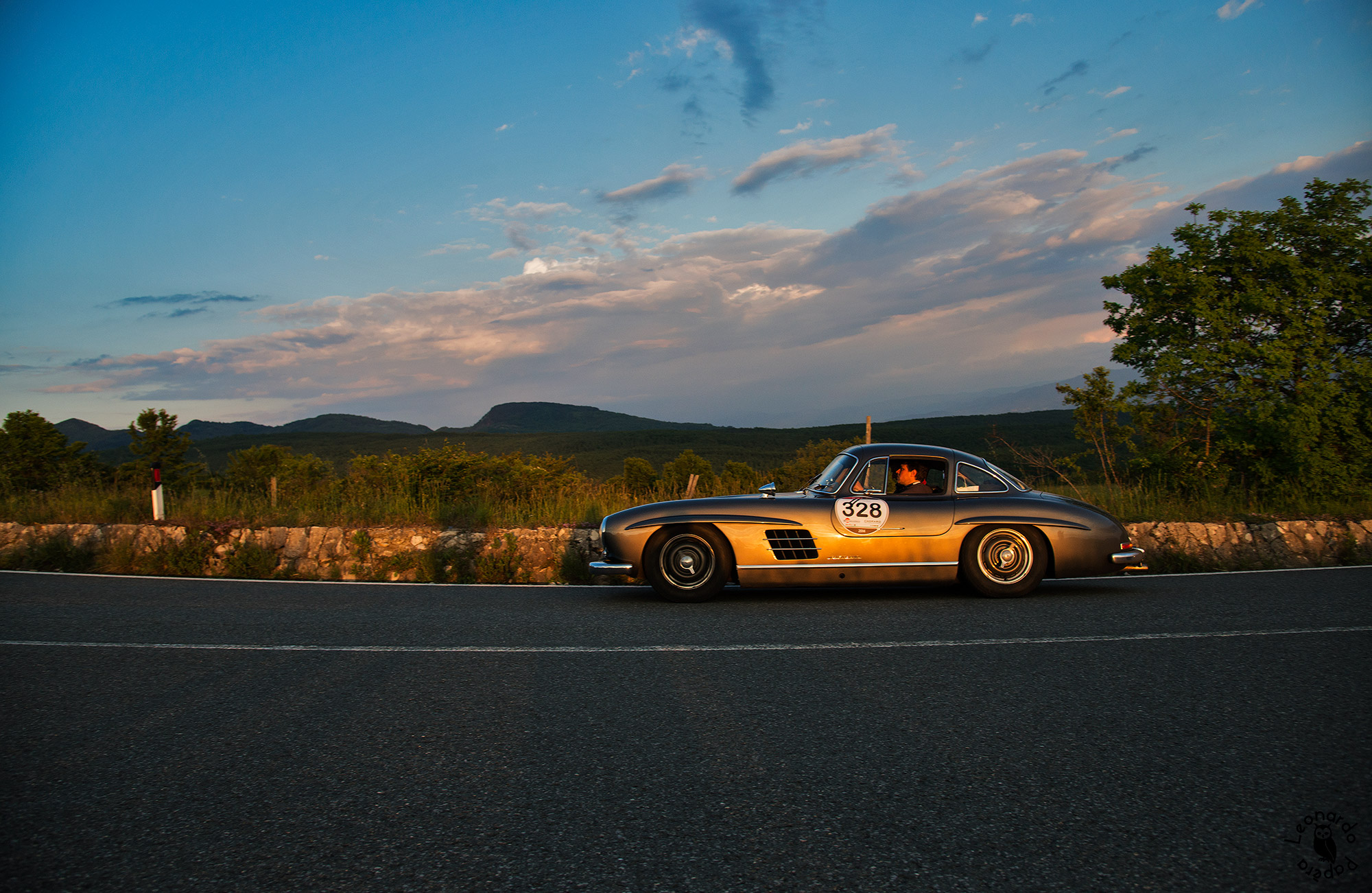Mercedes 300 SL w198 #328