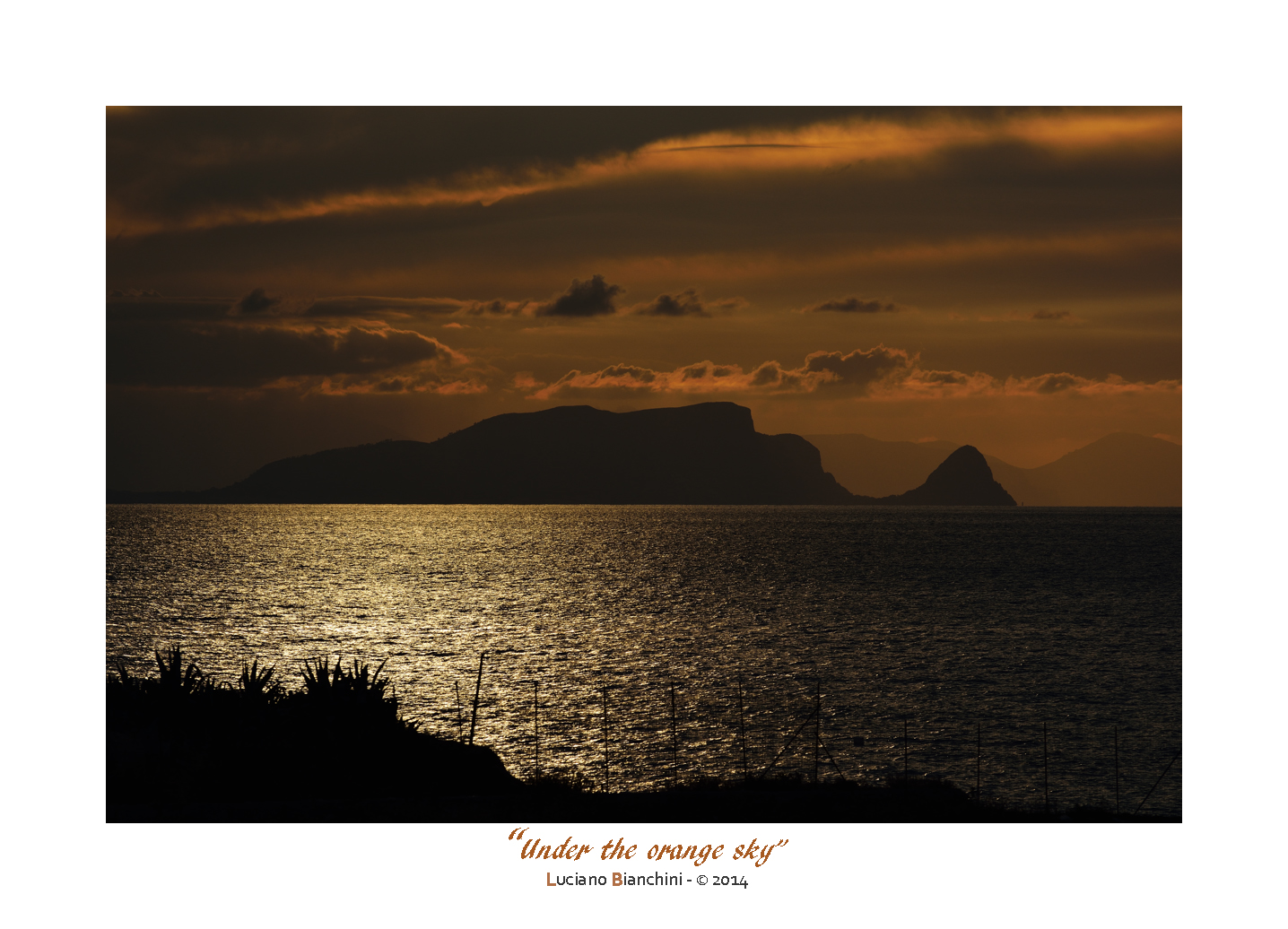 Under the orange sky