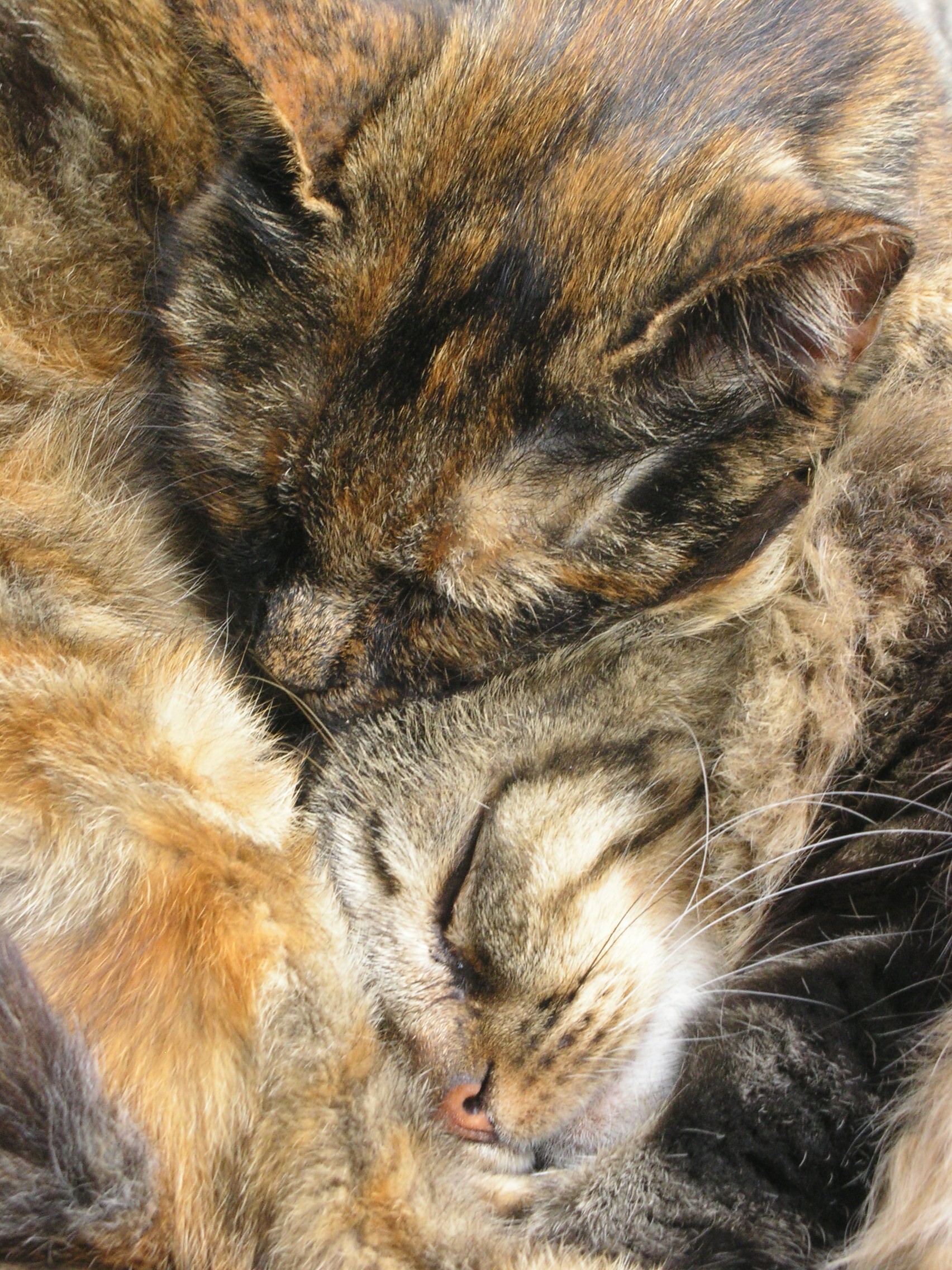 Vogliamo dormire vicini vicini...