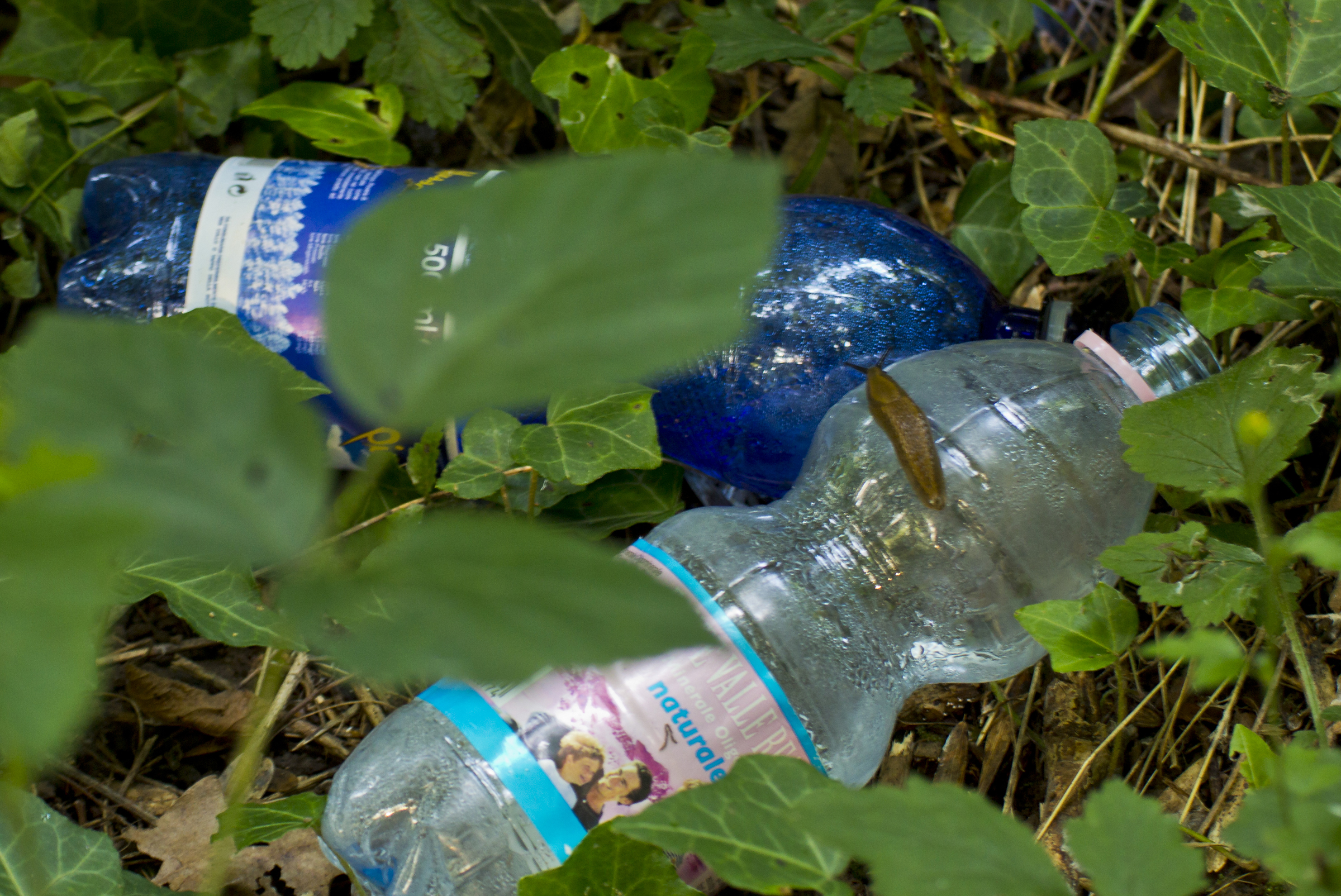 Il problema sono gli umani, amica mia..