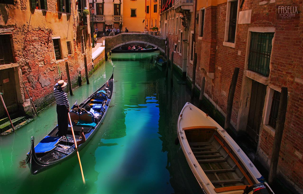 venice color