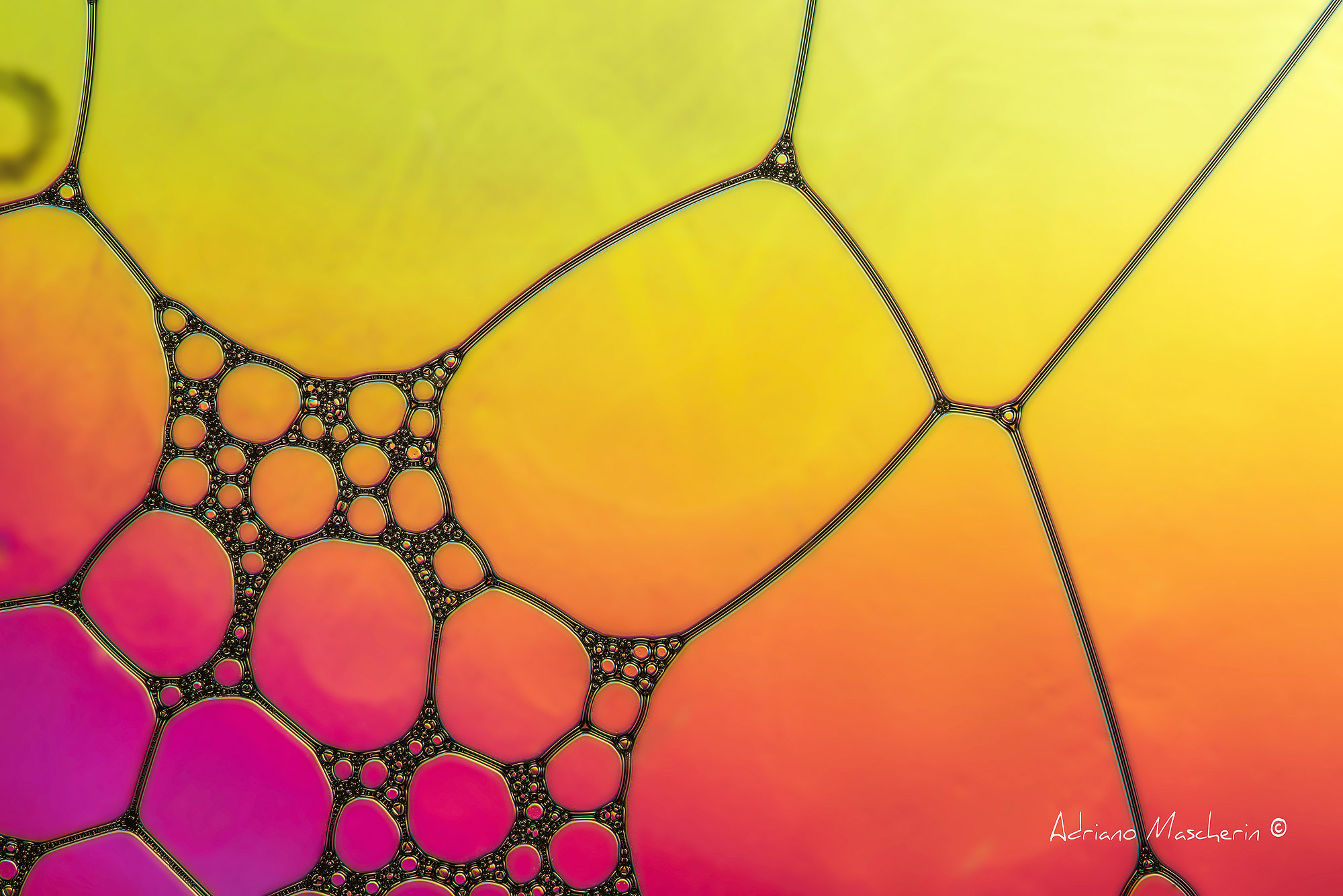 Perspective of bubbles