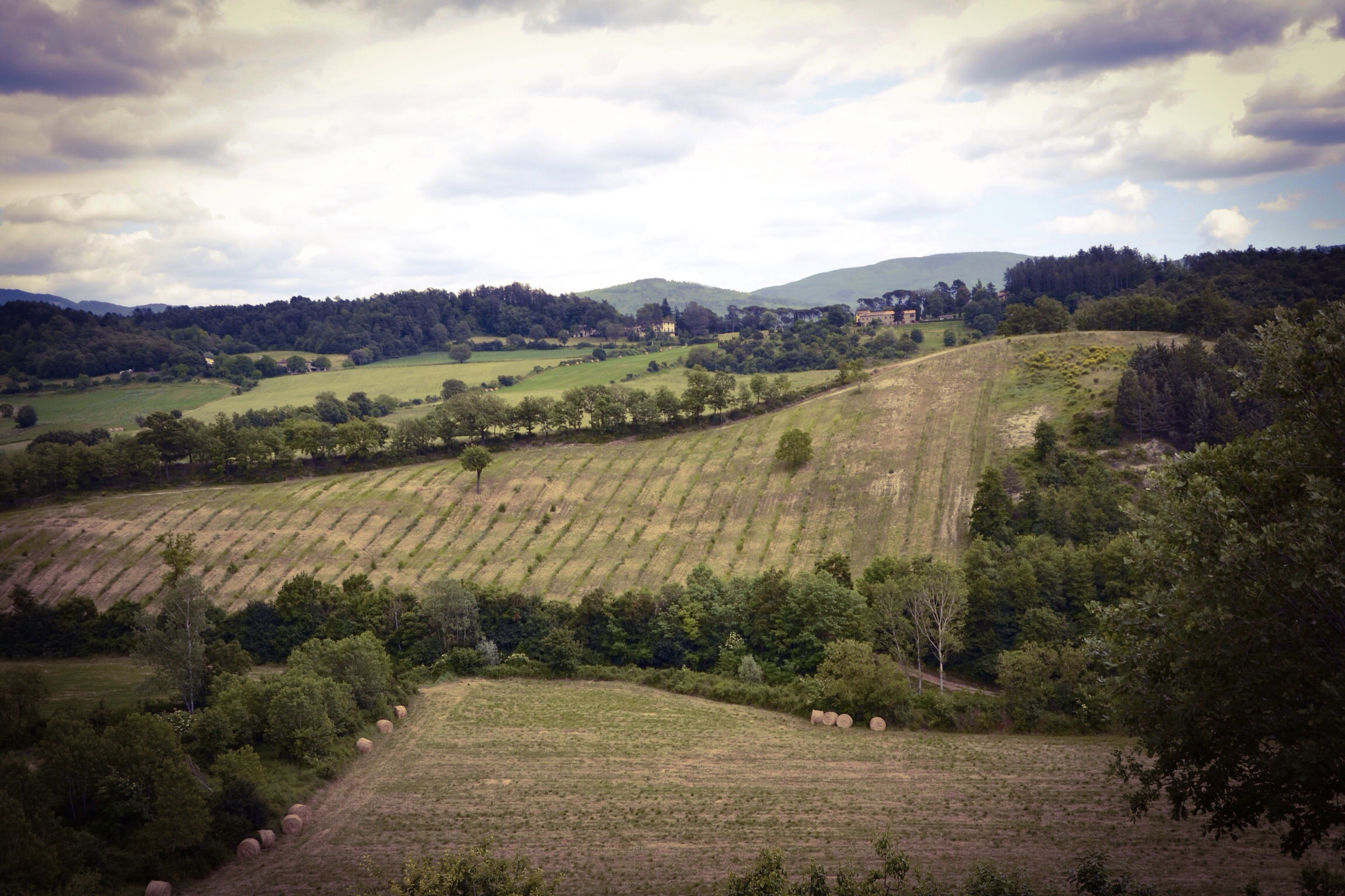 Anghiari and surroundings