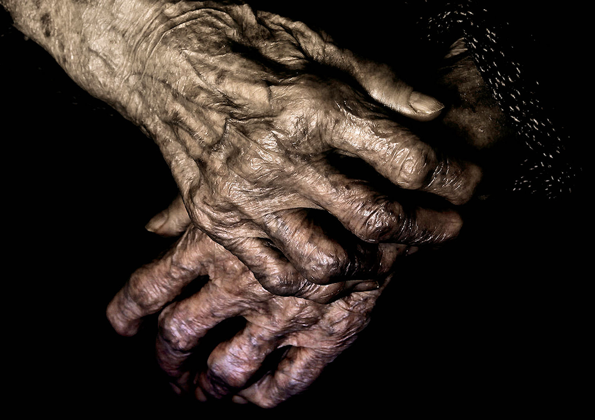 My mother's hands