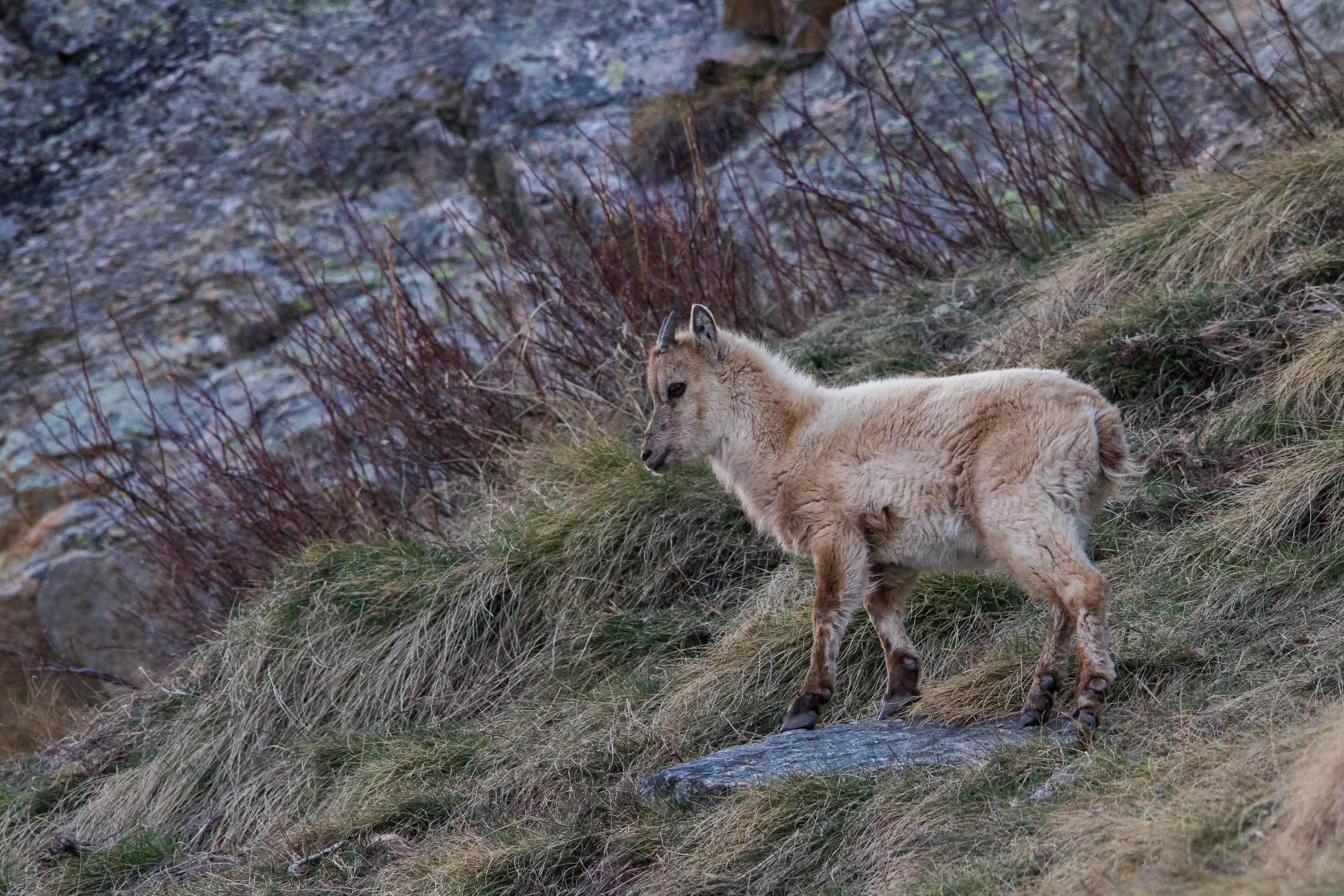 the first winter is past ...
