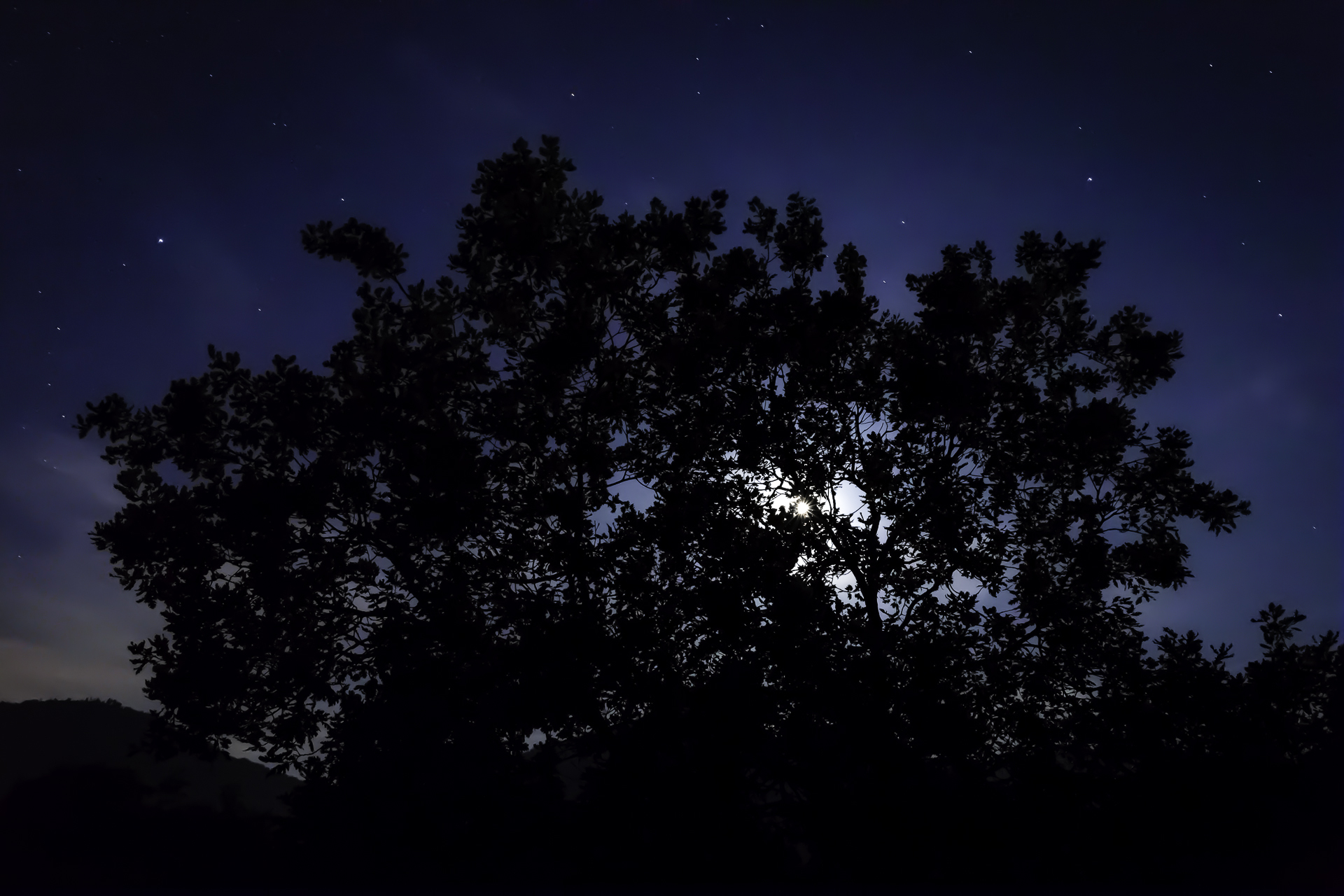 ...al chiaro di Luna