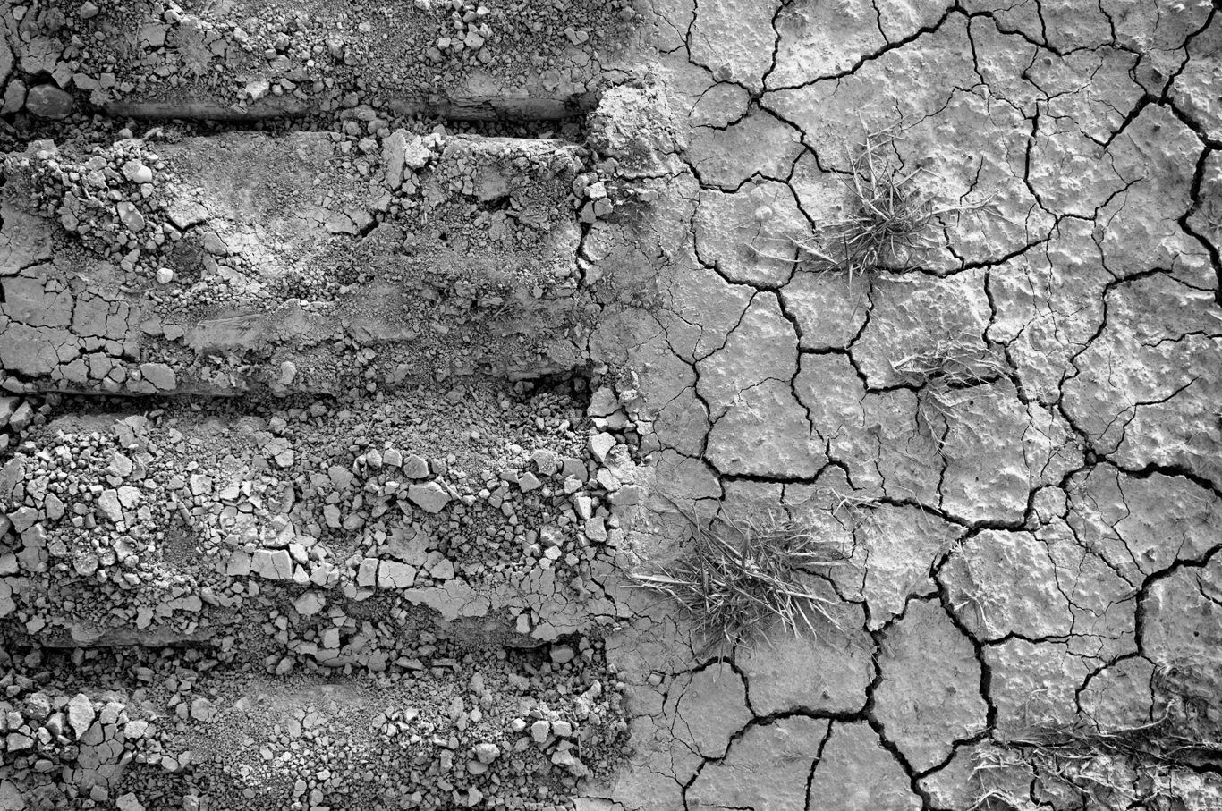 The nature gives way