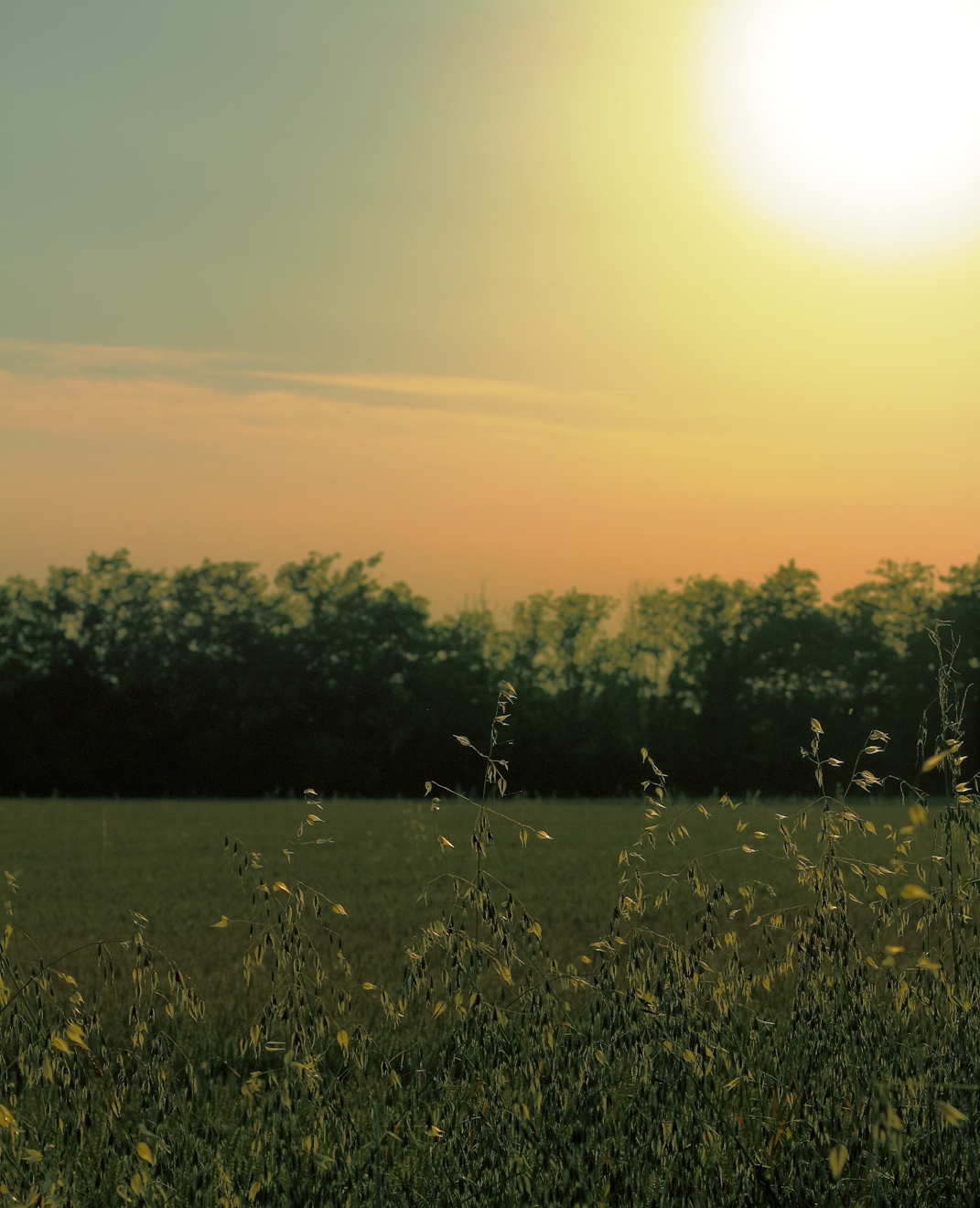 Tramonto del 10 06 2014