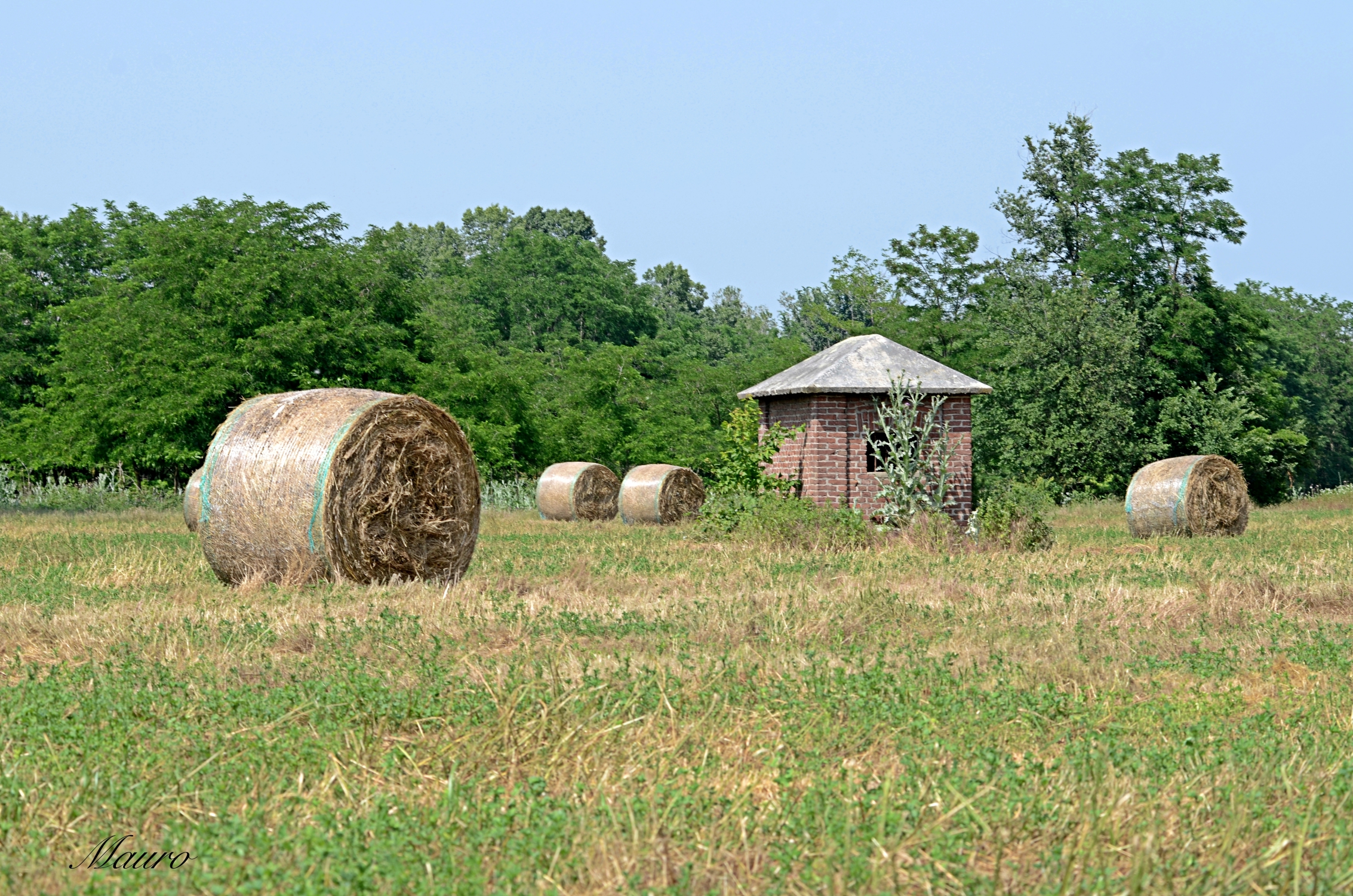 bales of hay