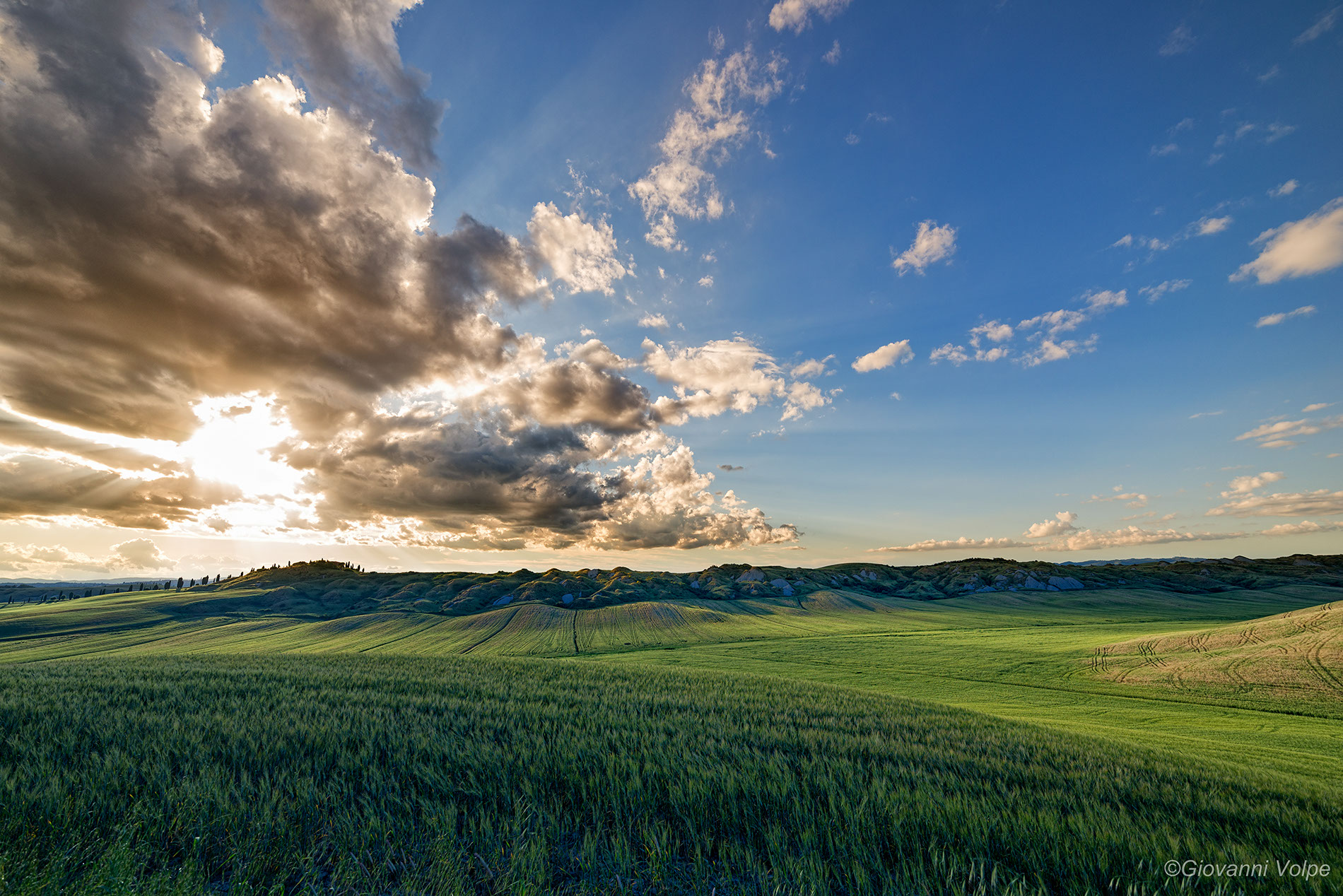 Colline toscane