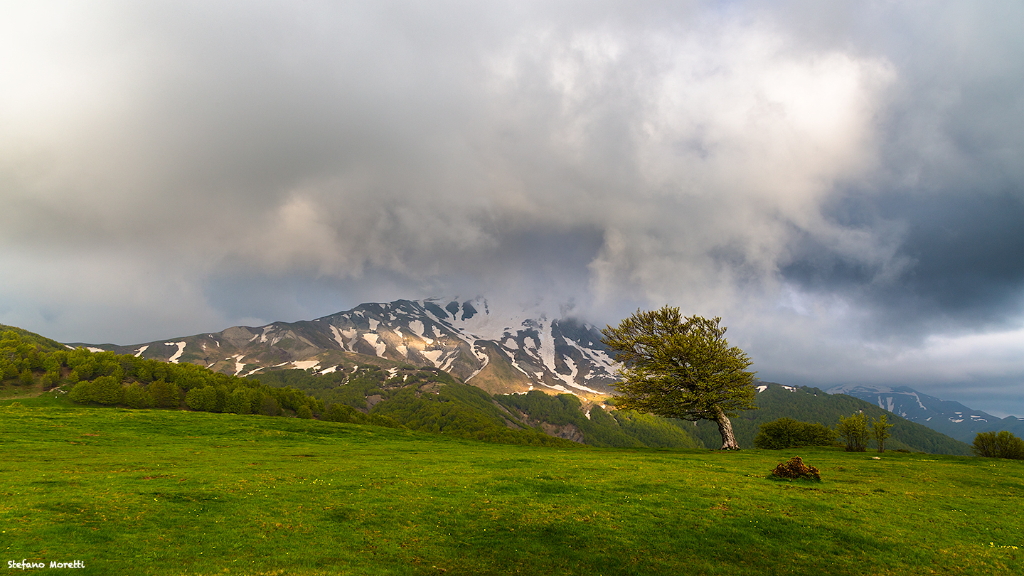 Il Monte Cusna visto dai Prati di Sara