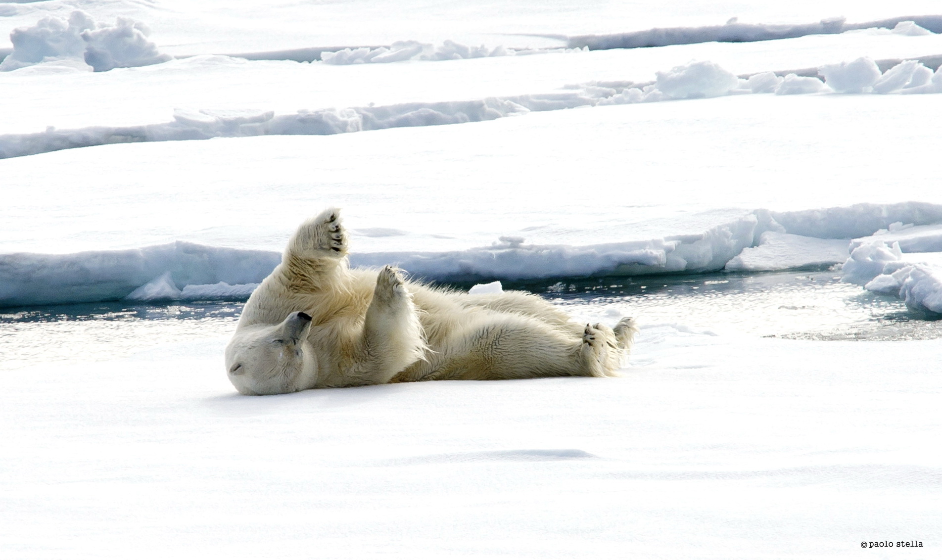 control of the claws