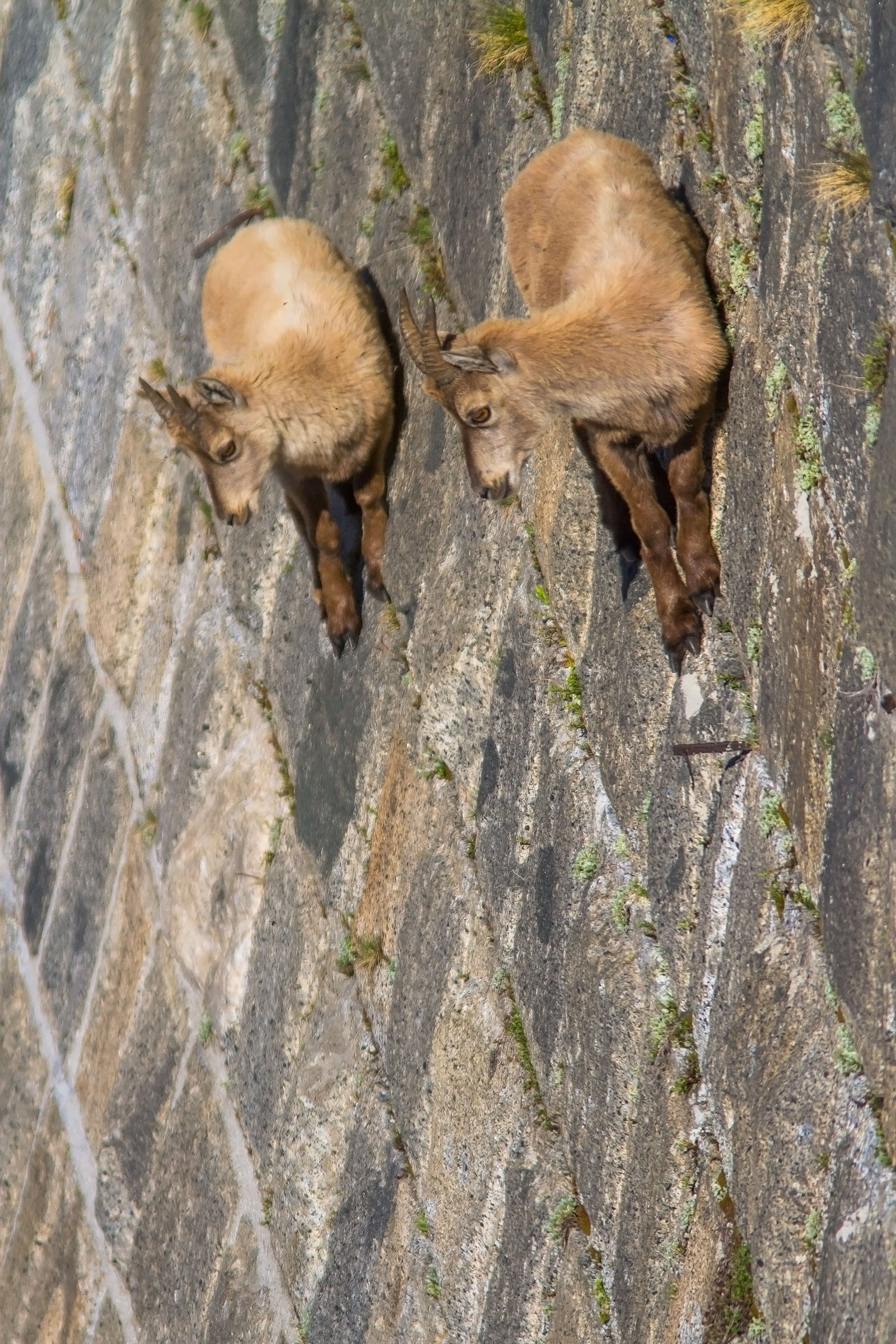 passeggiando...sulla diga