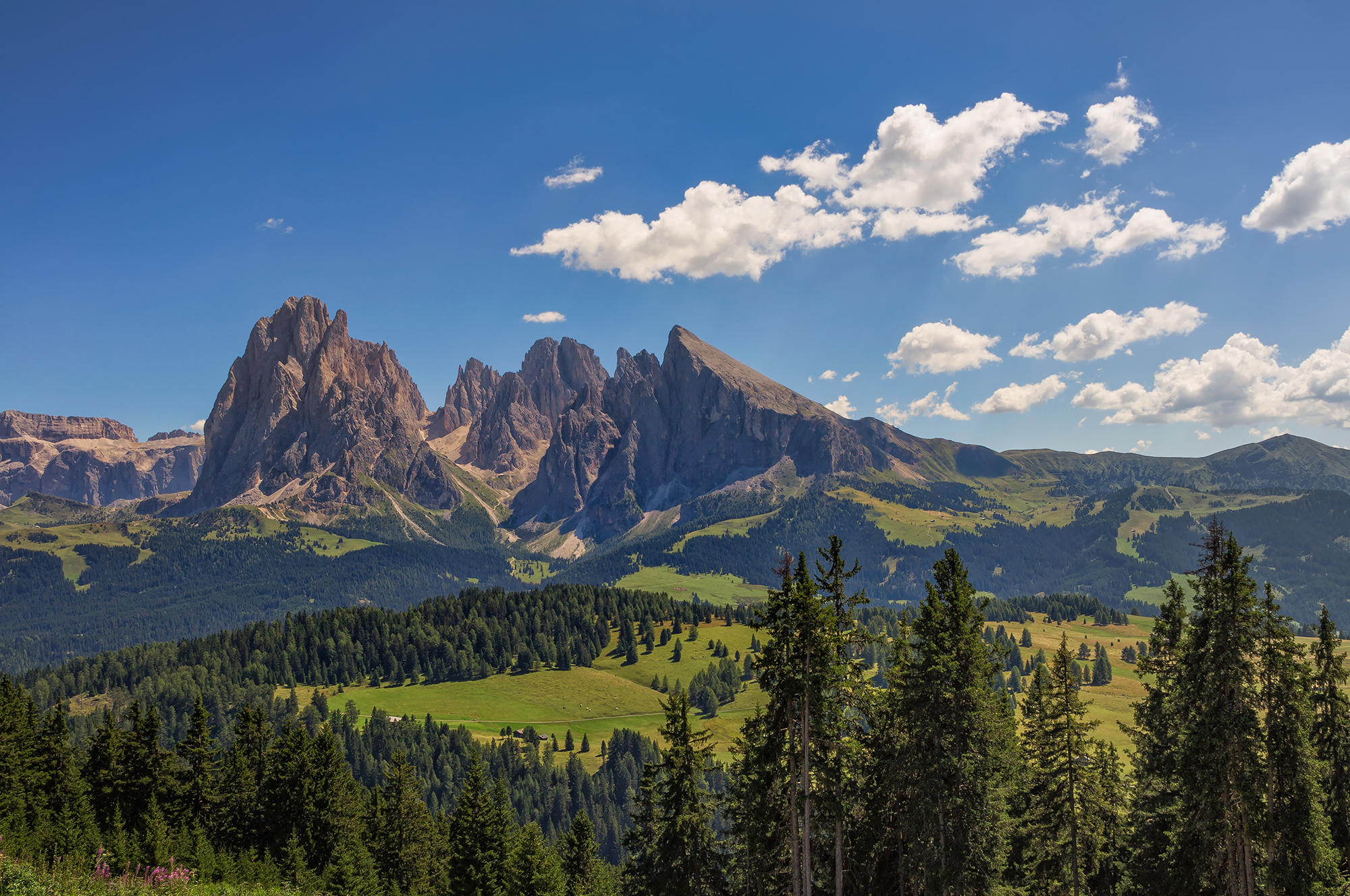 Il gruppo del sassolungo