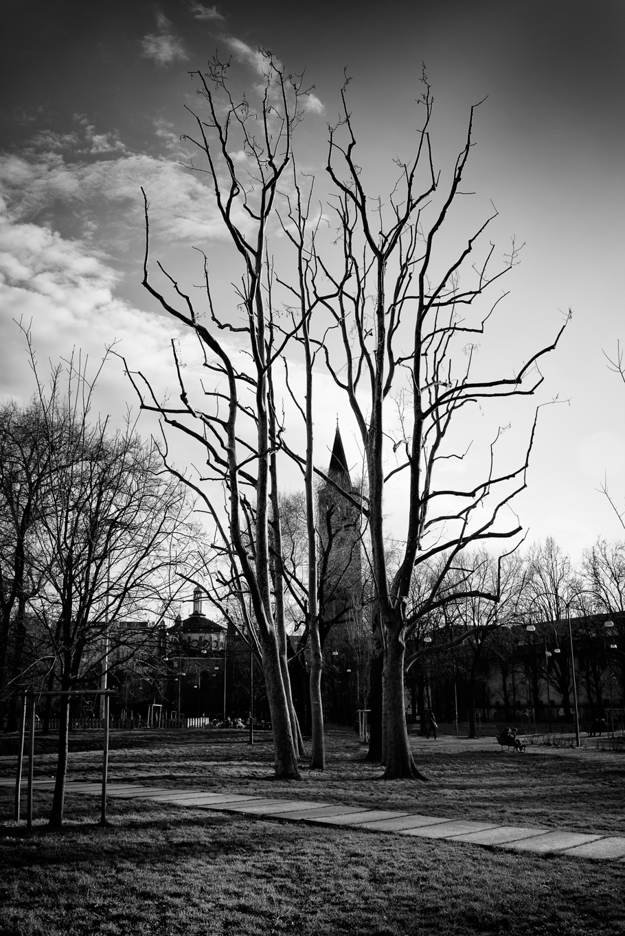 Stretch towards the sky