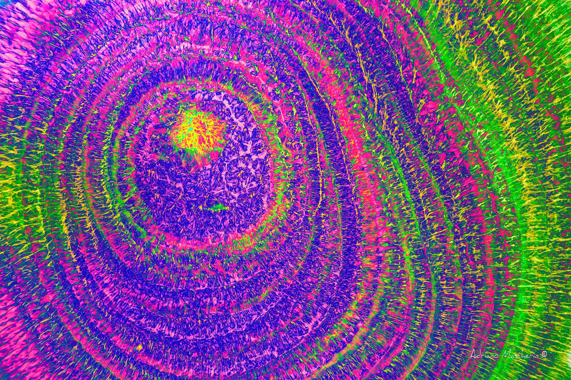 Diluizione fantastica