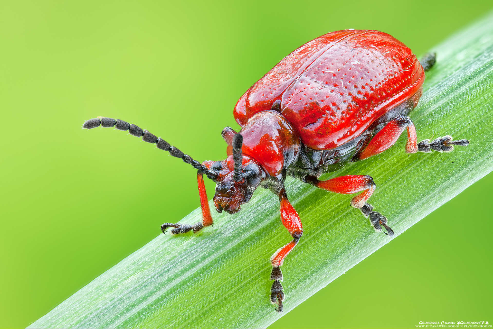 Servizi igienici mattina