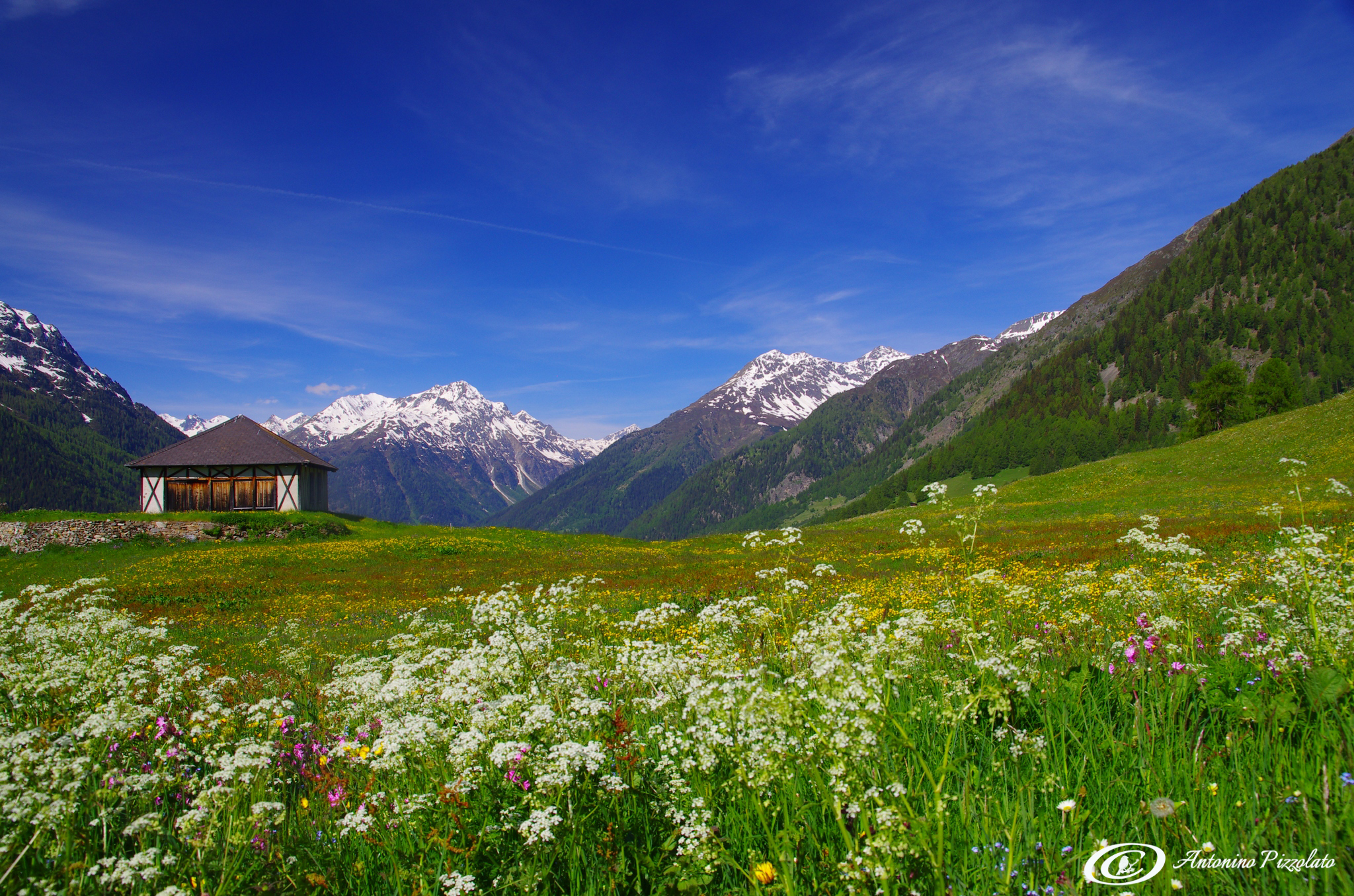 The awakening of colors