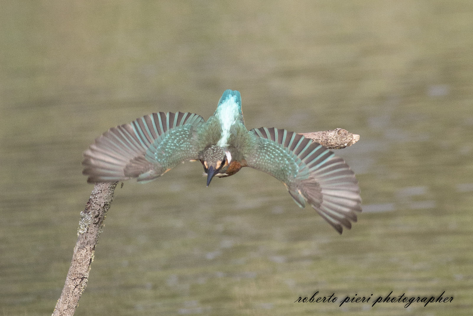 Start the starting front