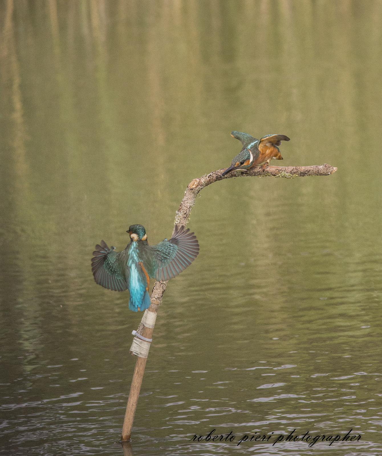 we have to be there all 2 noooooooooo