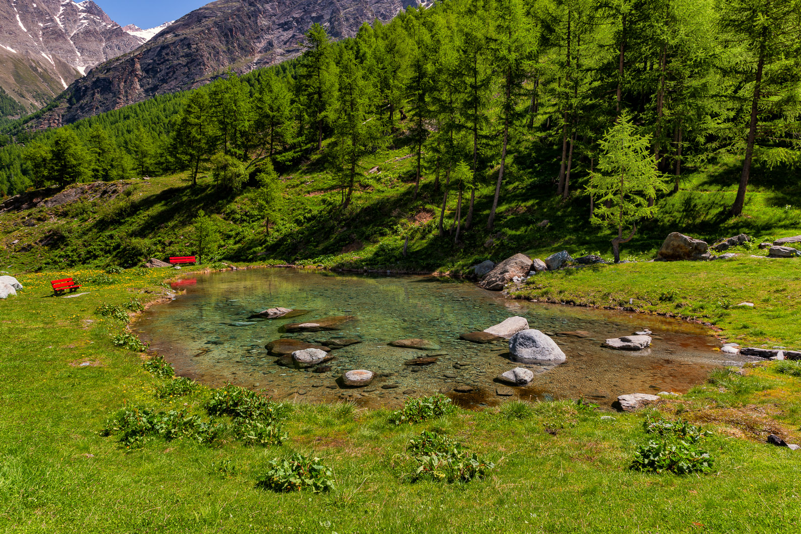 My Country - Svizzera