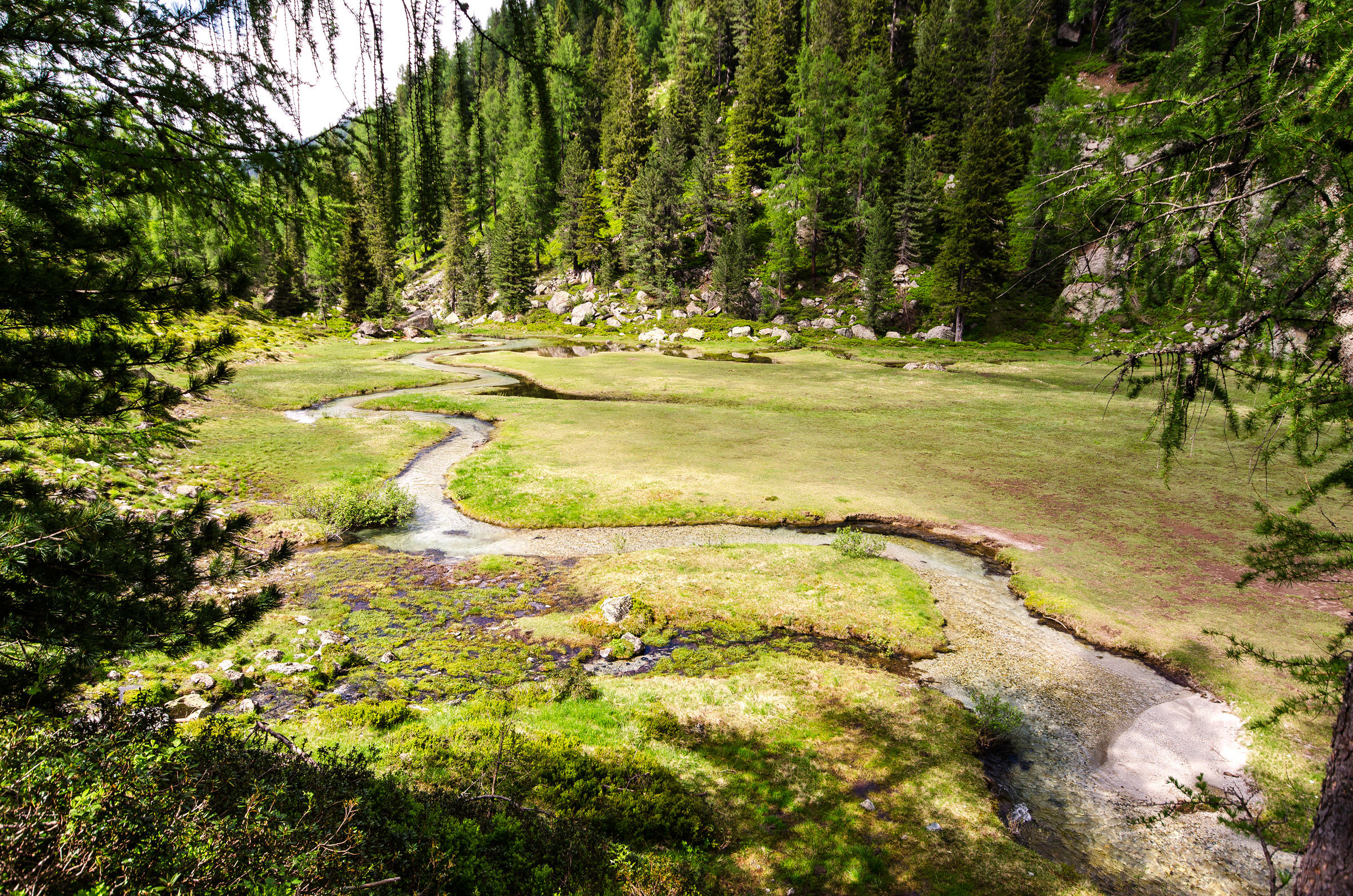 Dolce Ruscello Alpino