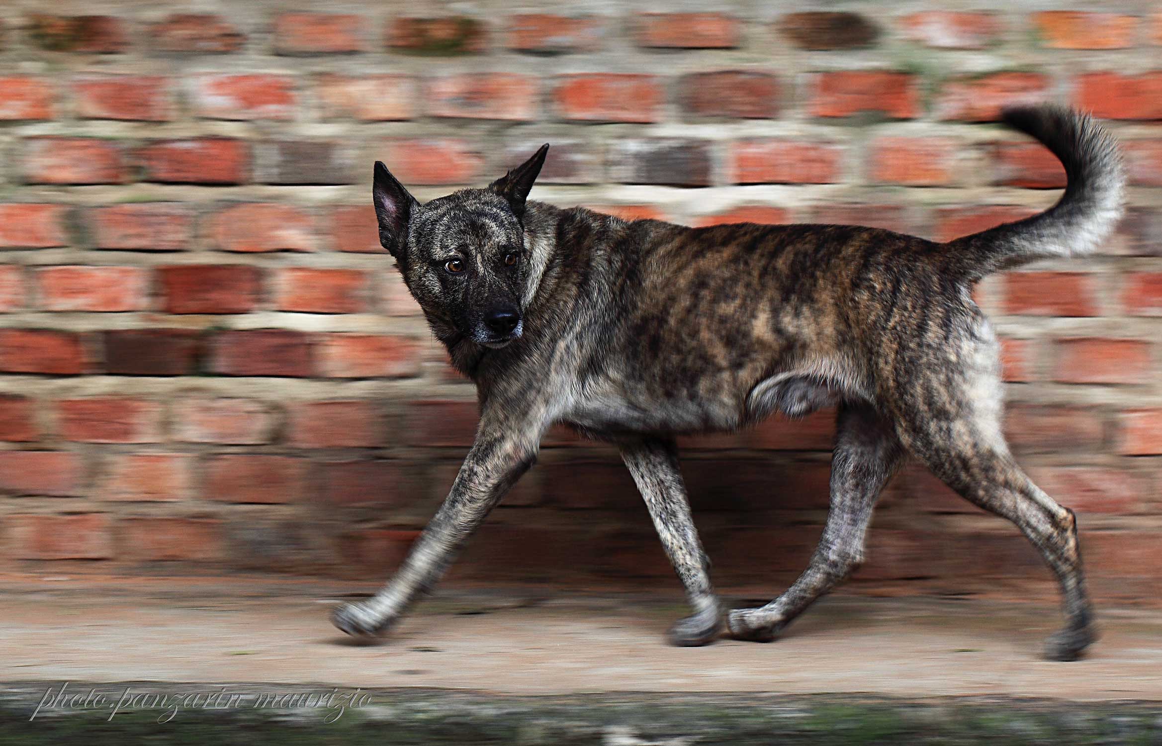 un simpatico incontro!