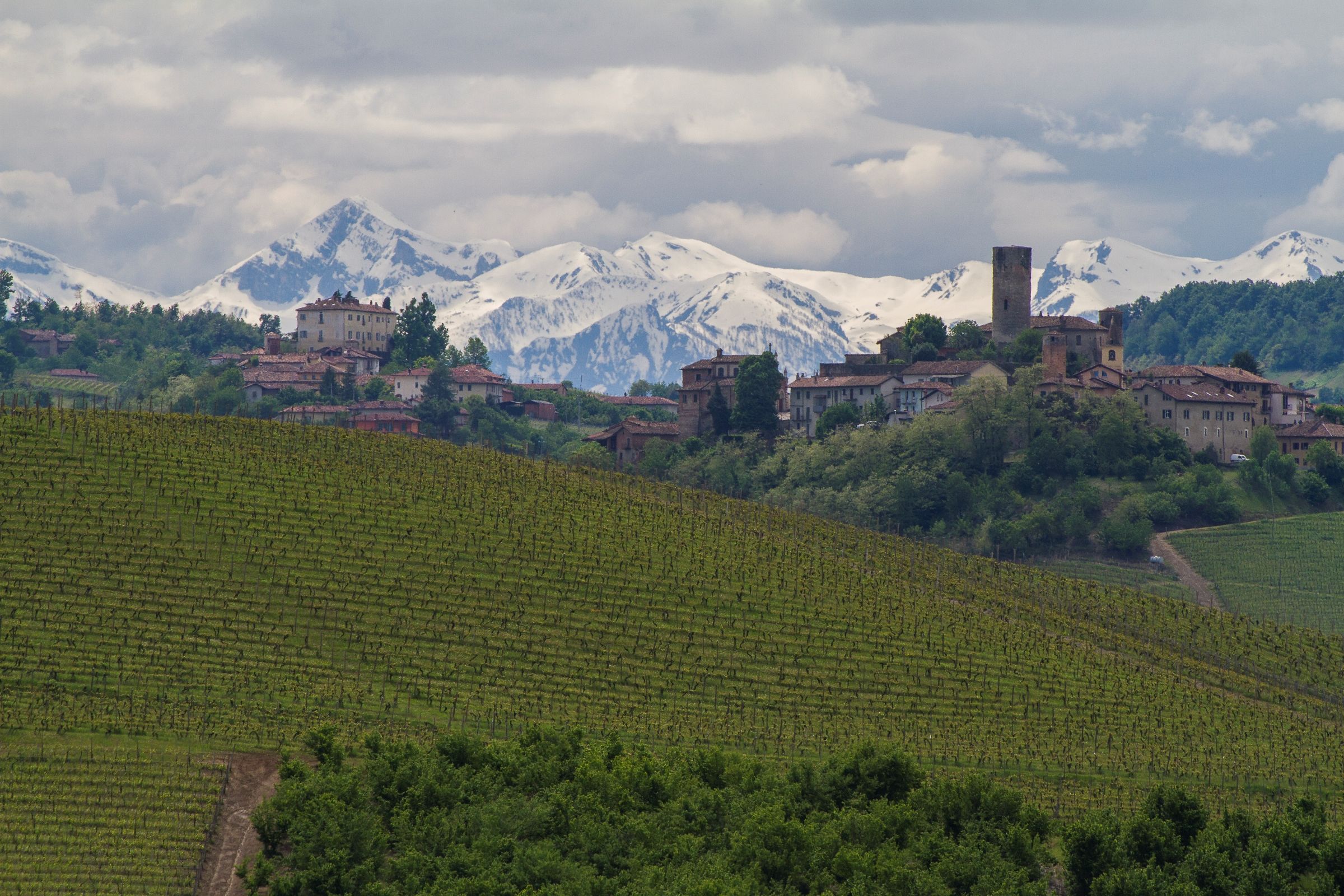 tribute to the Langhe