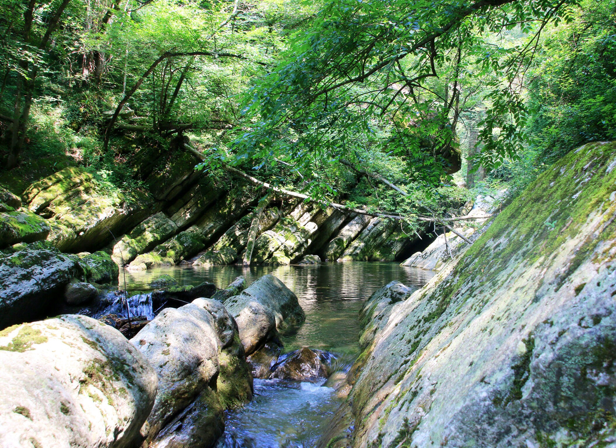 Gole del Breggia Chiasso CH 4