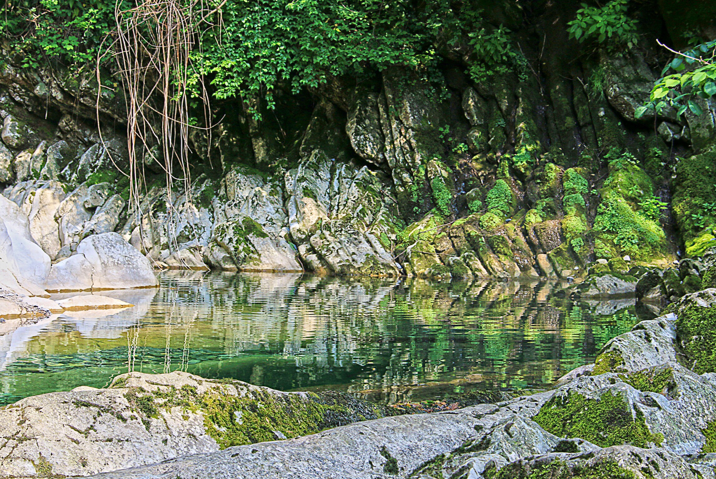 Gole del Breggia Chiasso CH 5