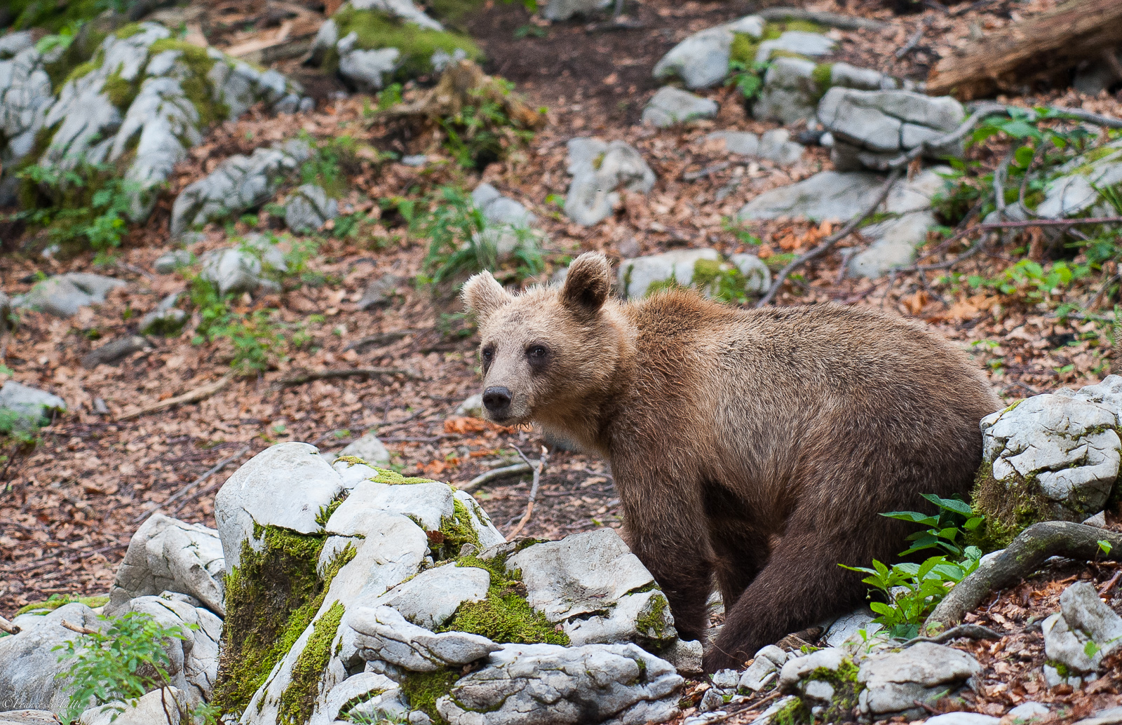 When pinches pinches Boo