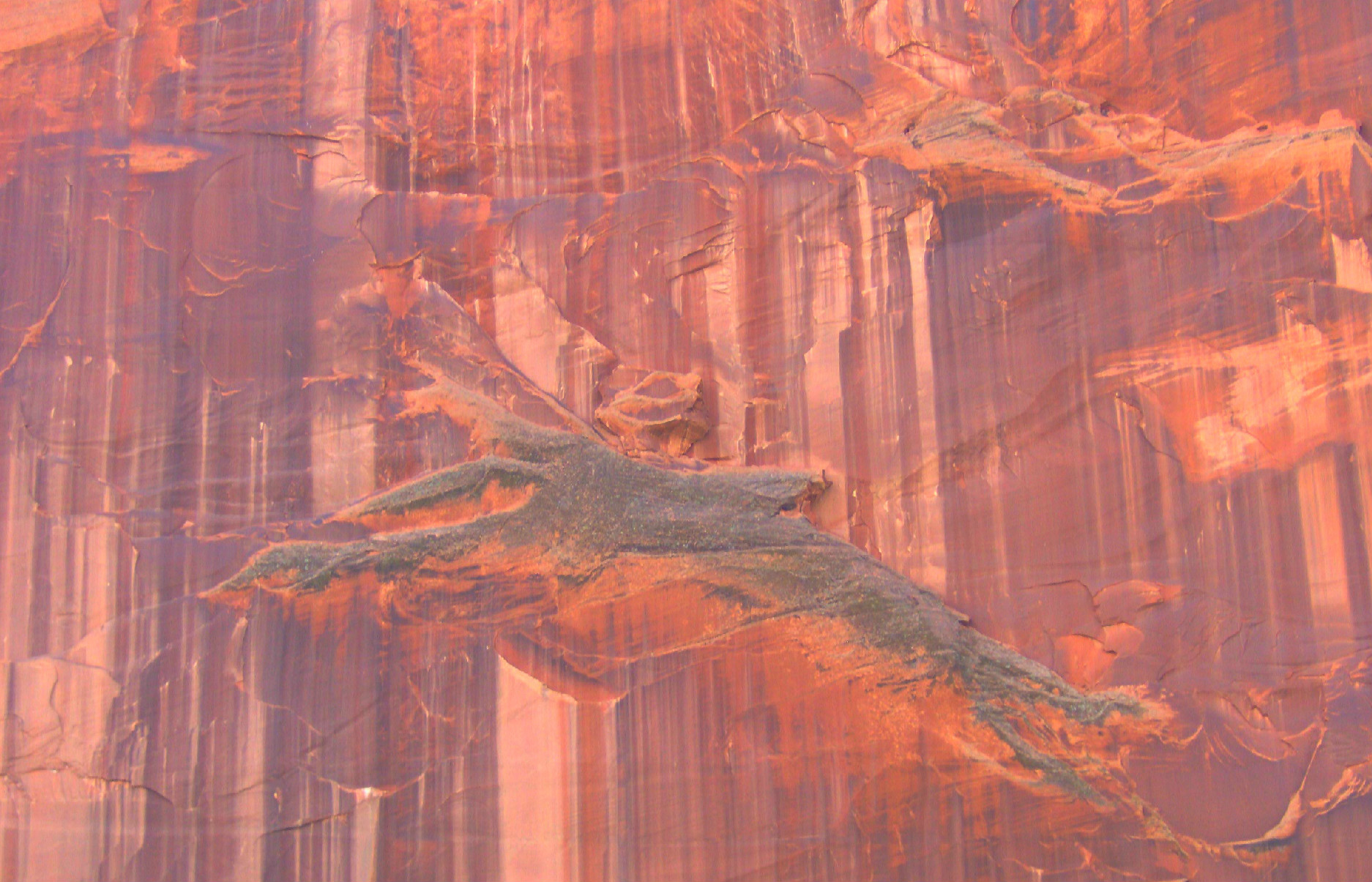 Figure nelle rocce...o le vedo solo io??