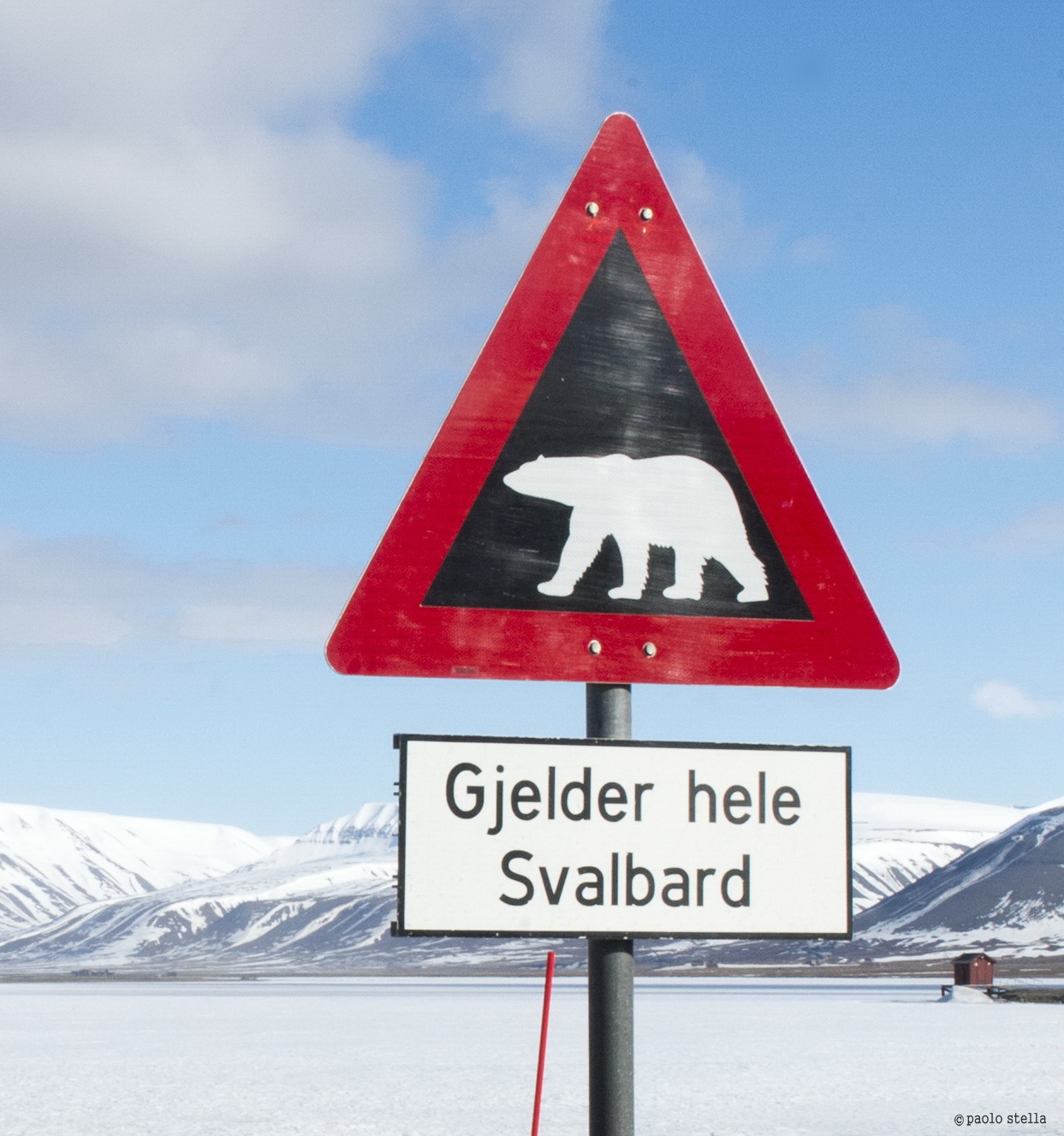 Danger: Polar Bears!