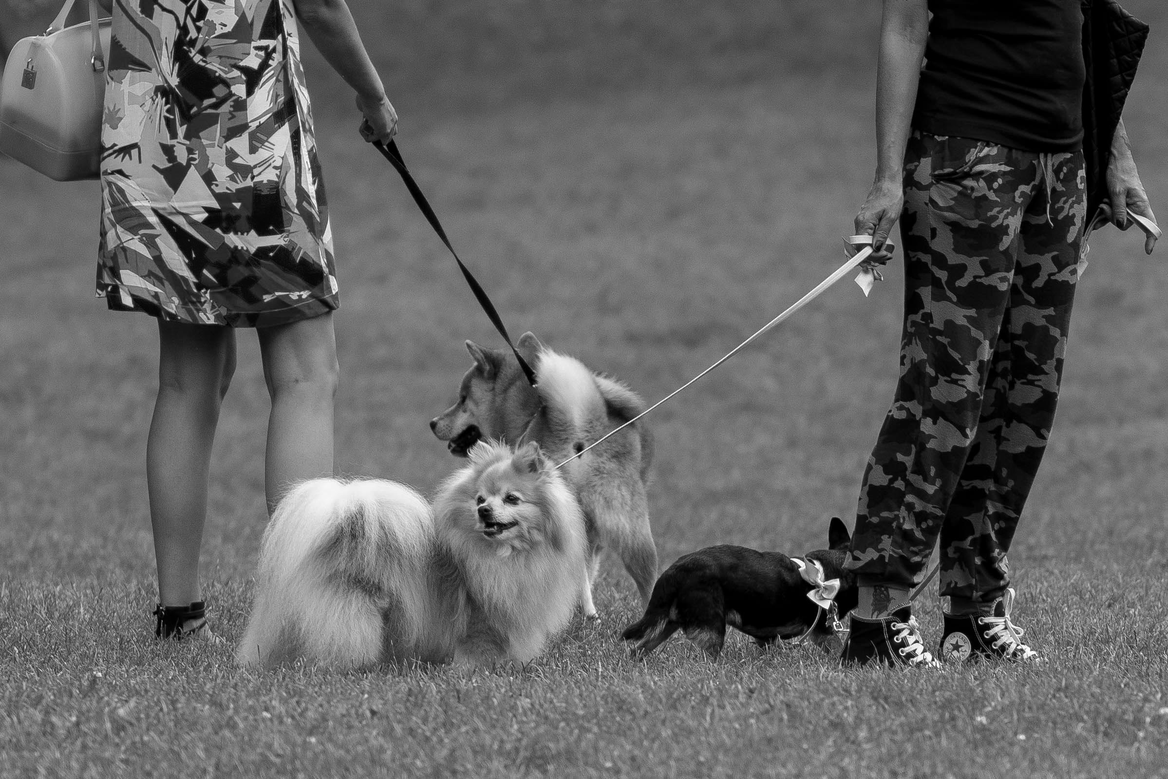 legami..............