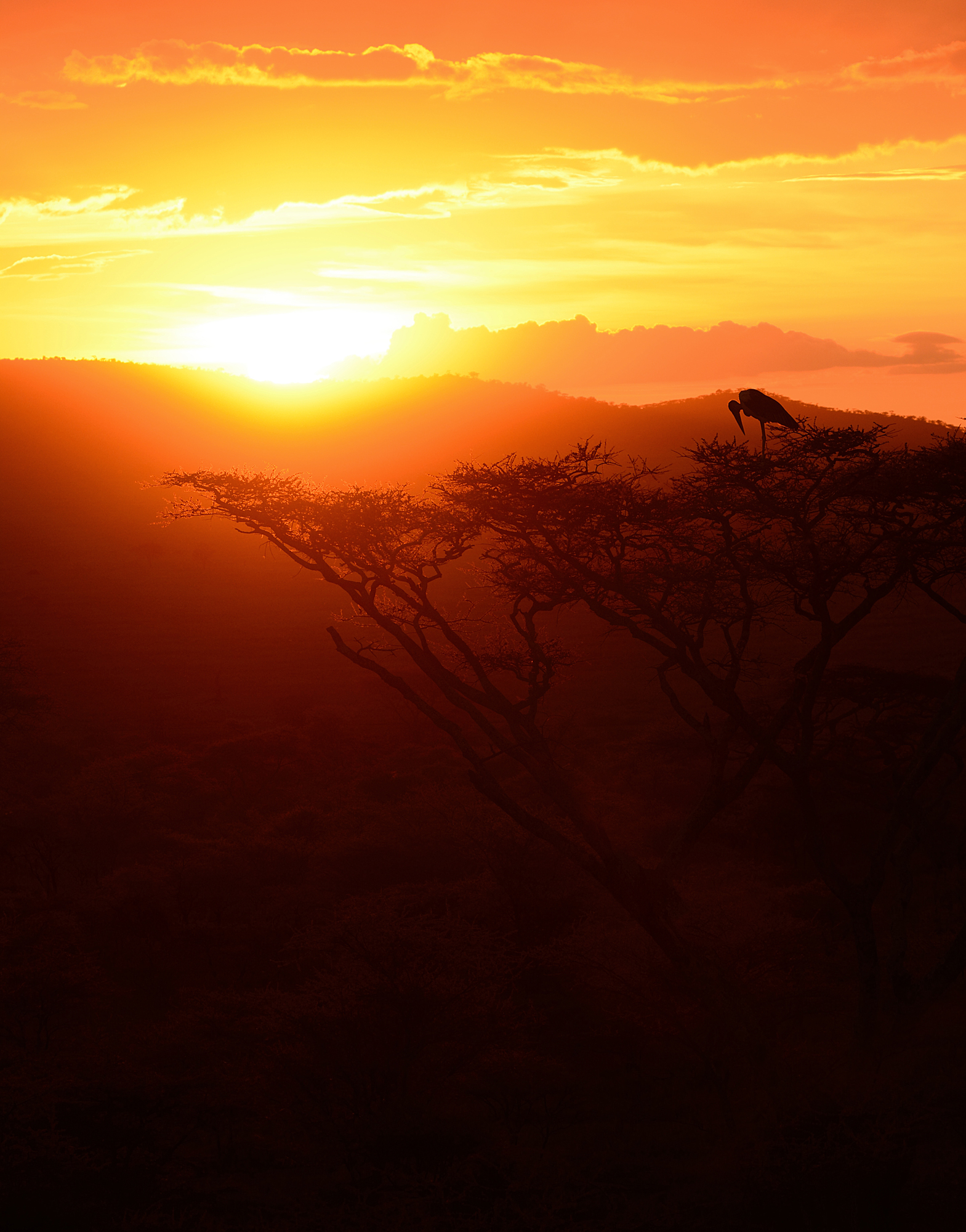 Finisce un altro giorno in Tanzania