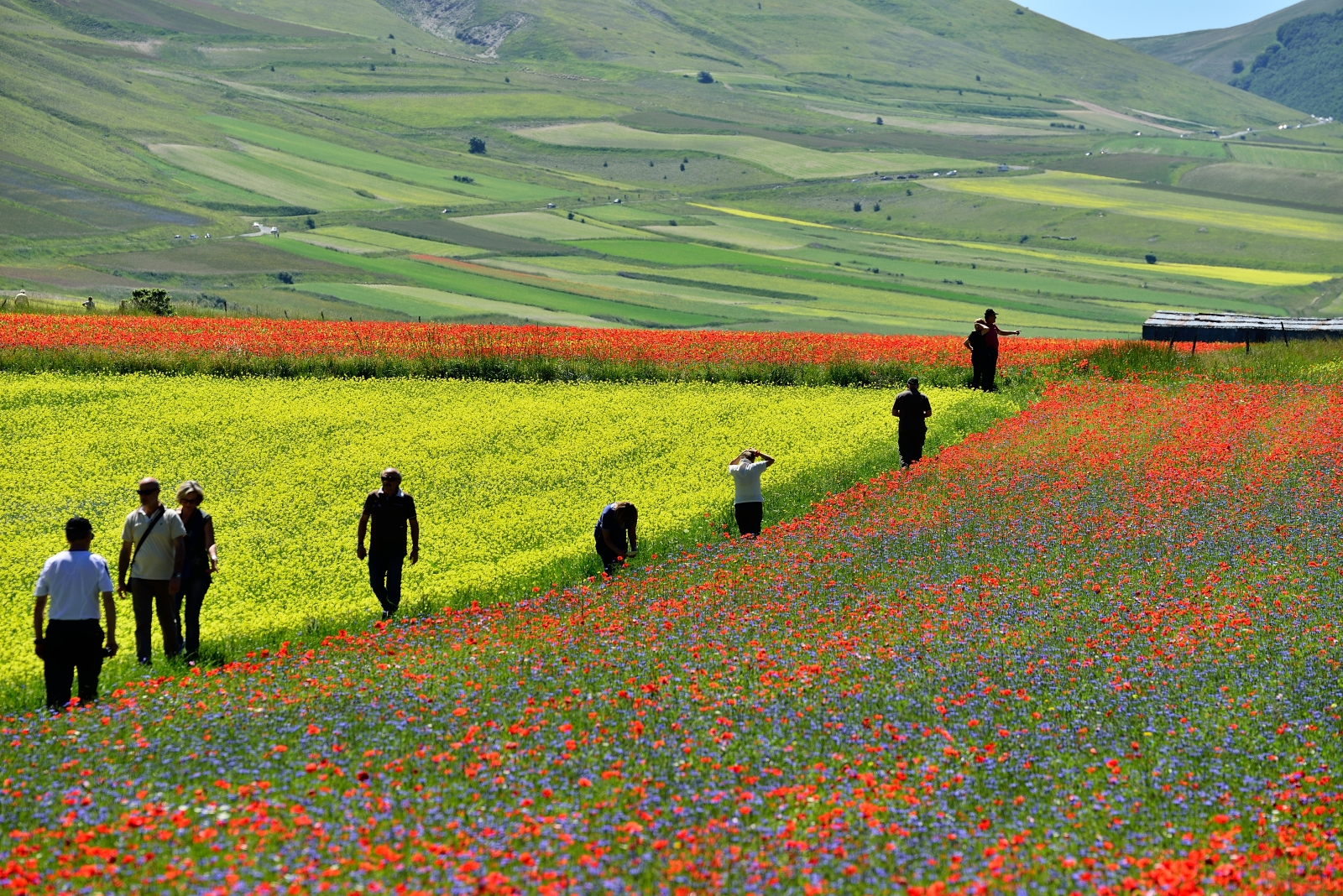 Castelluccio di Norcia-Umbria