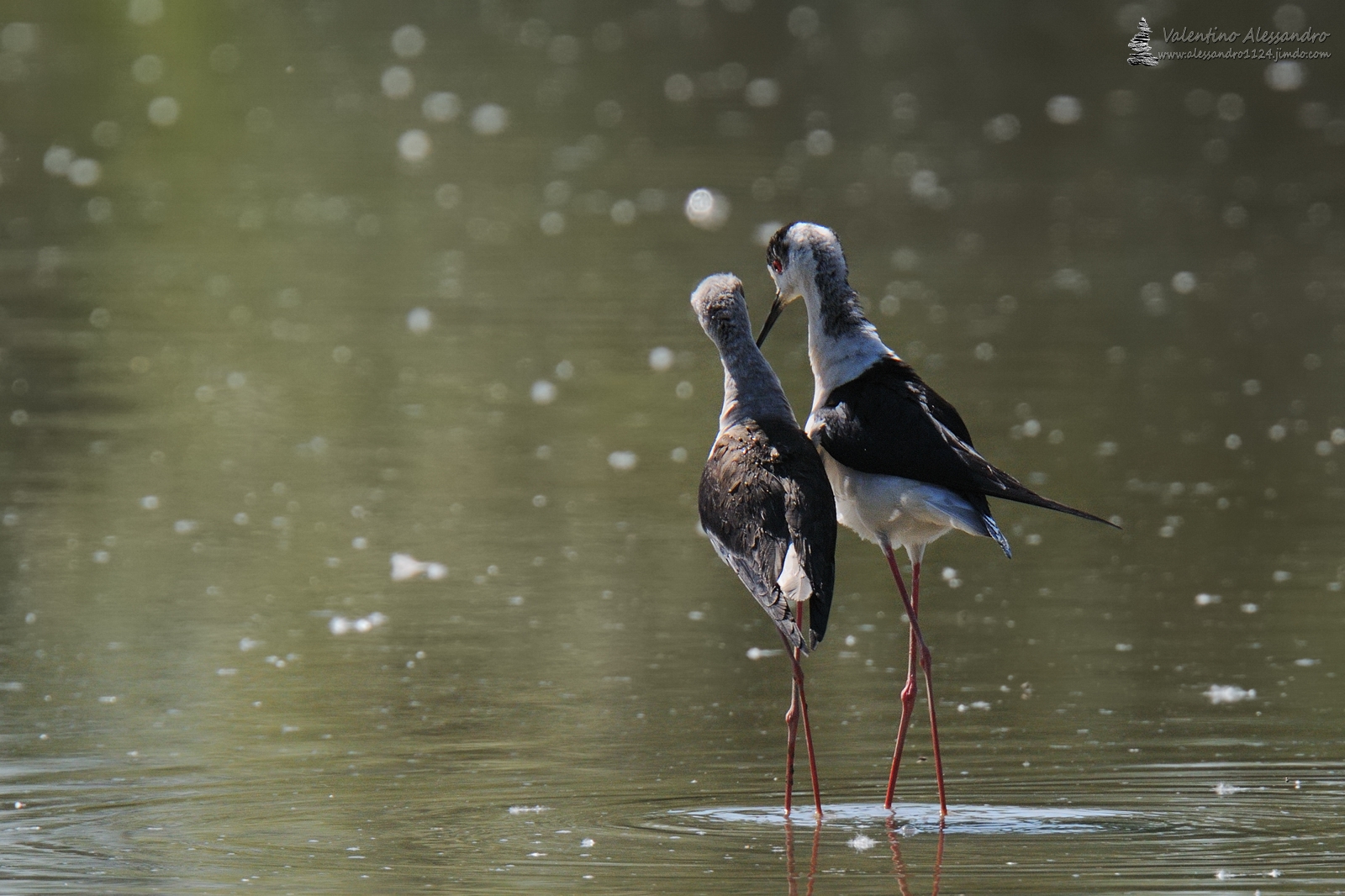 Passeggiata romantica