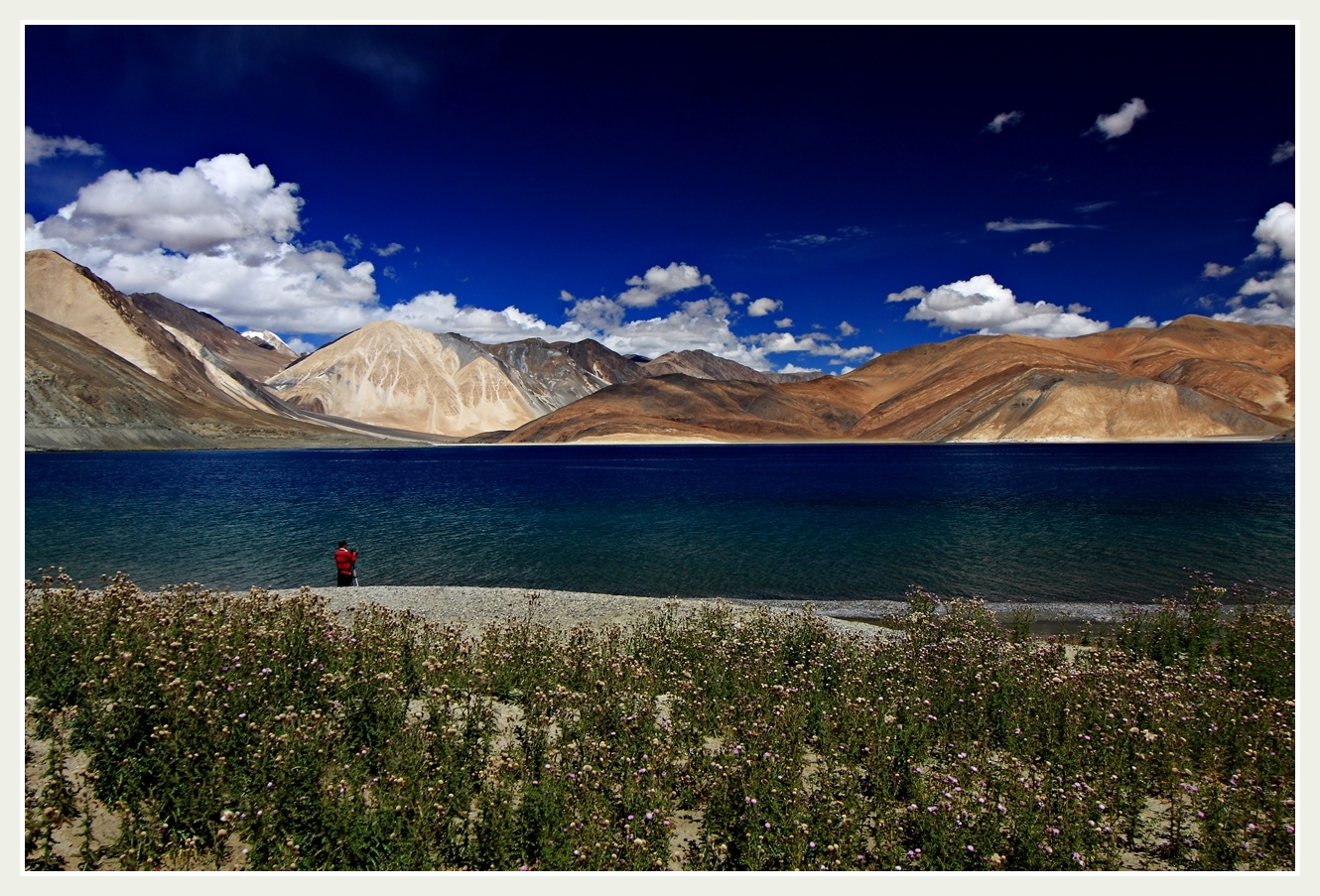 High Altitude Lake Pangong Tso
