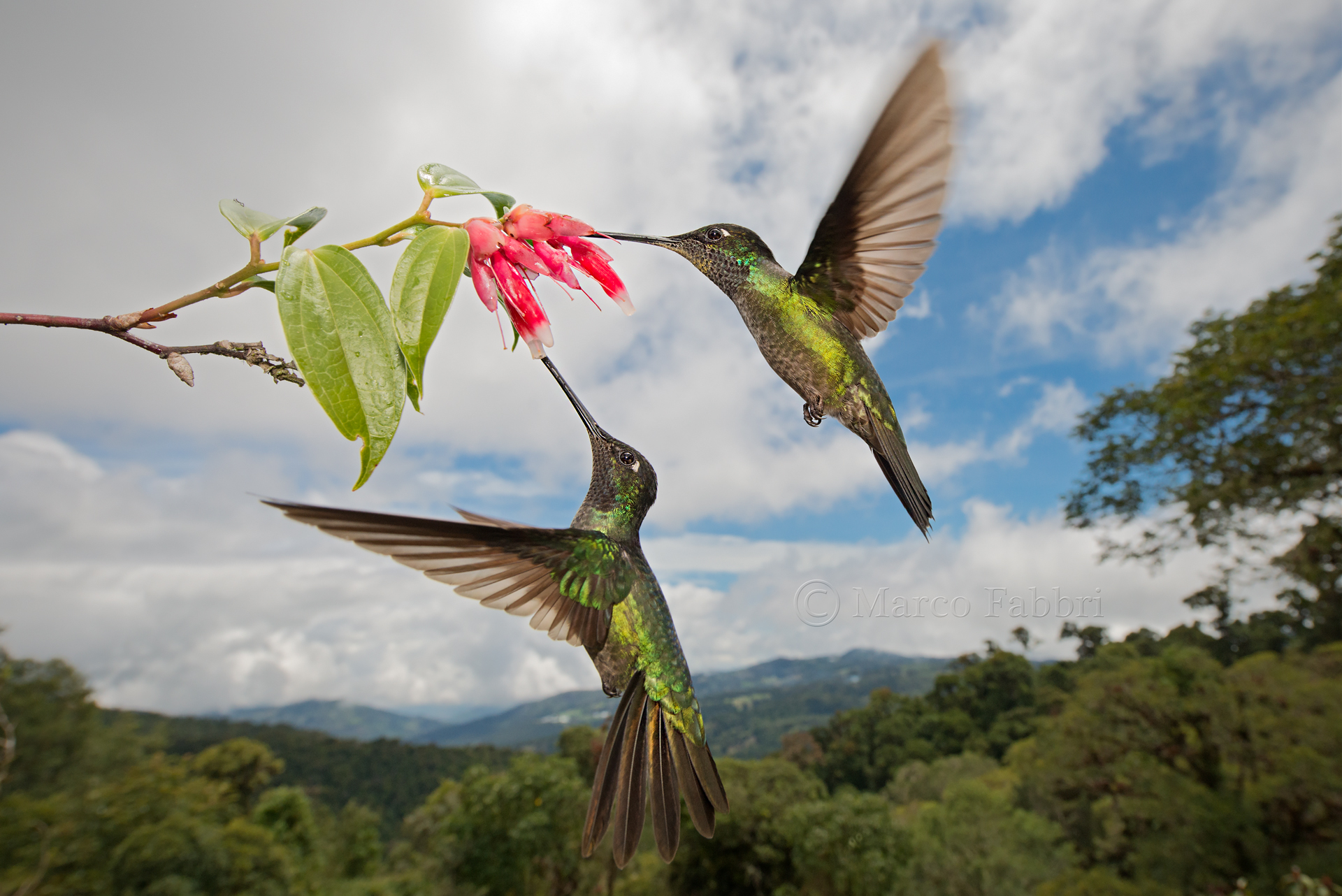 Between Heaven and Earth 2